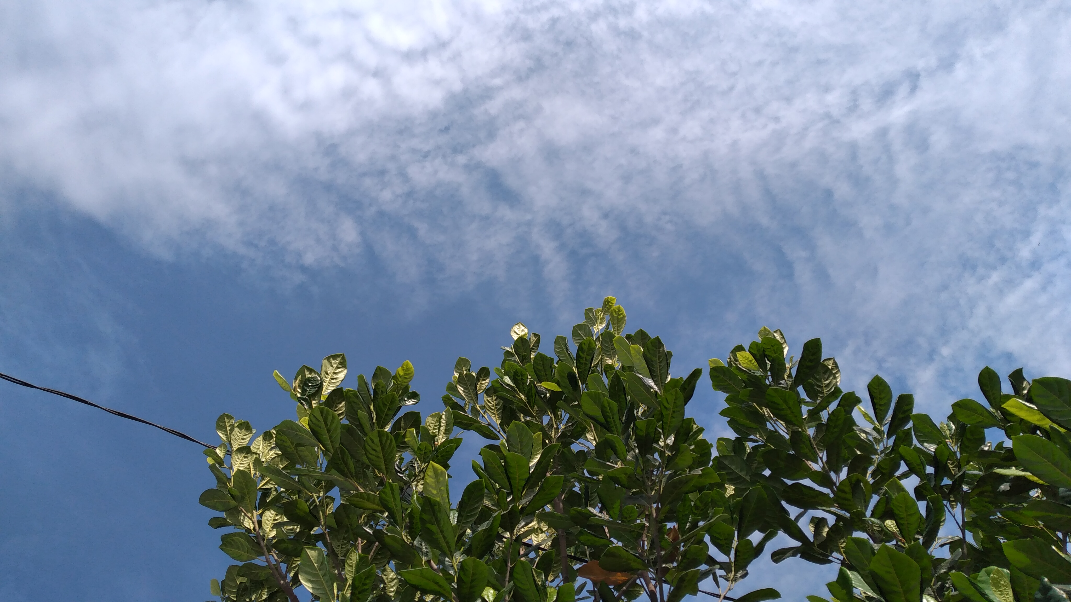 20220910_085227.jpg