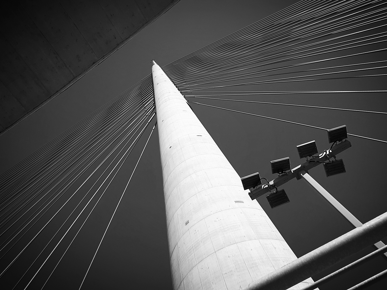 20210819_142615.jpg