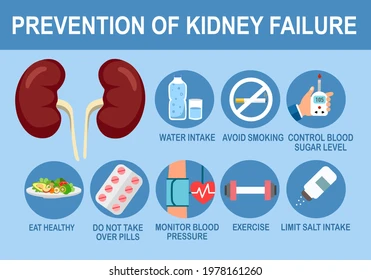 prevention-kidney-failure-infographic-useful-260nw-1978161260.webp