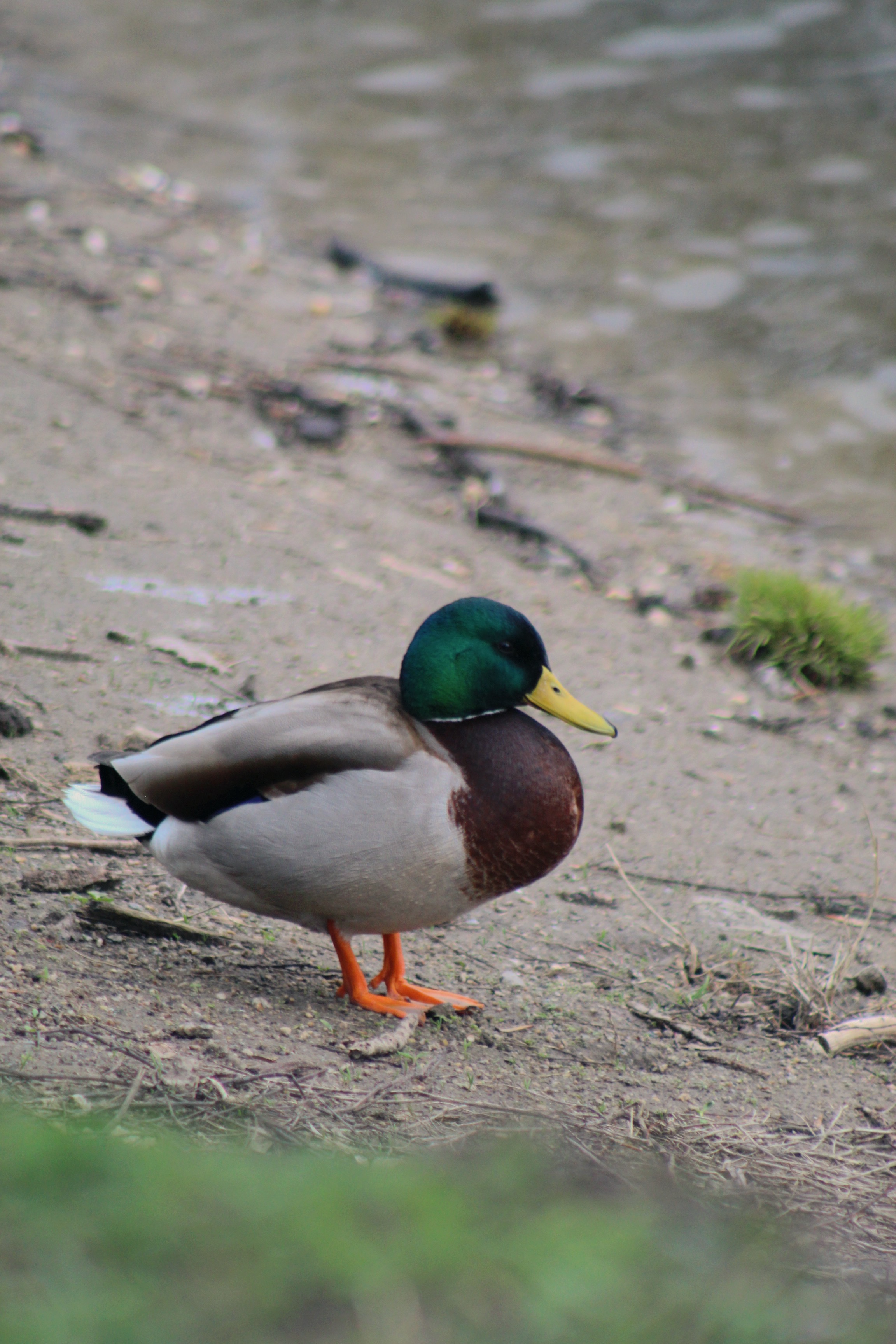 IMG_1860.jpeg