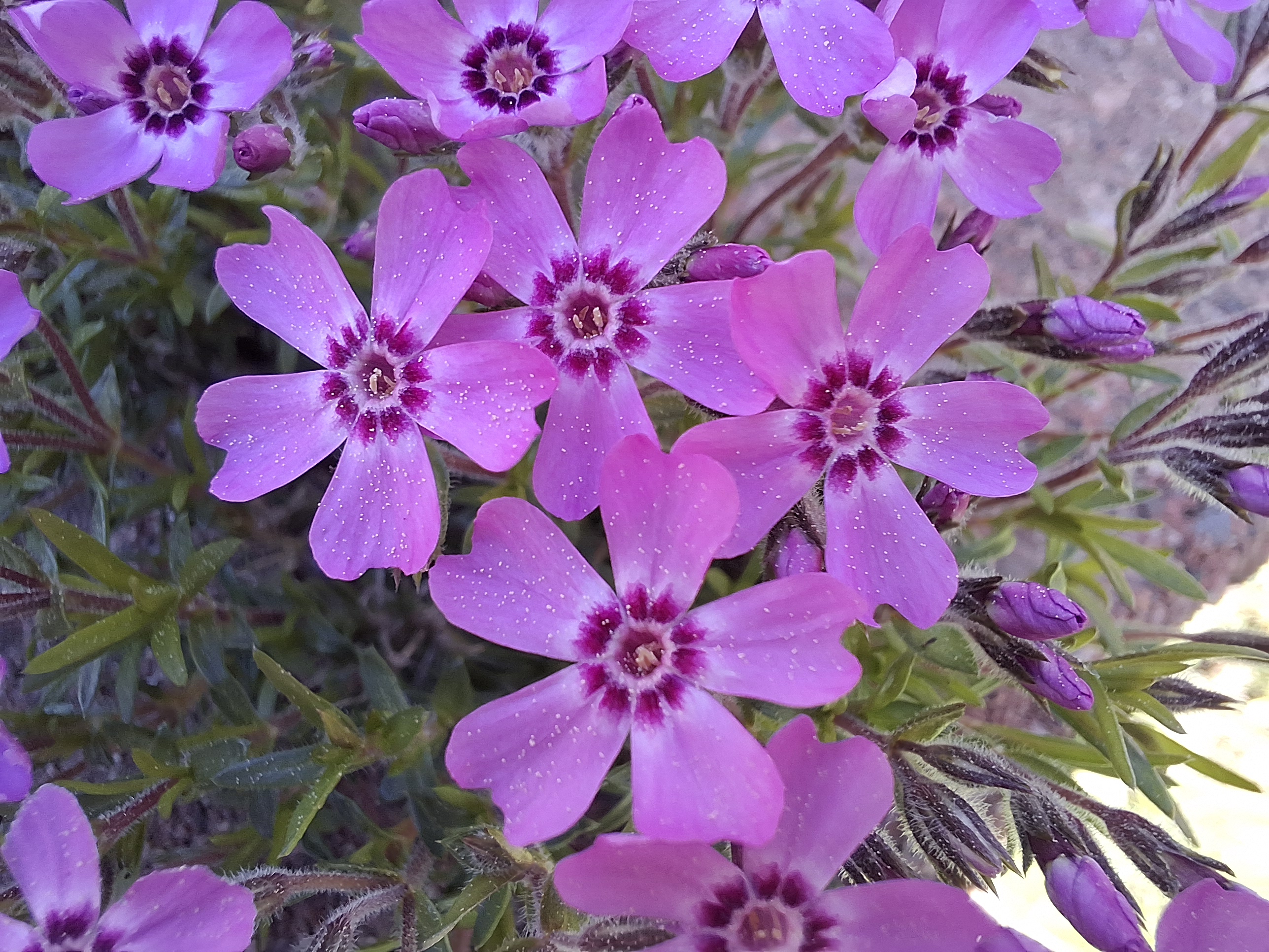 20240513_125752.jpg