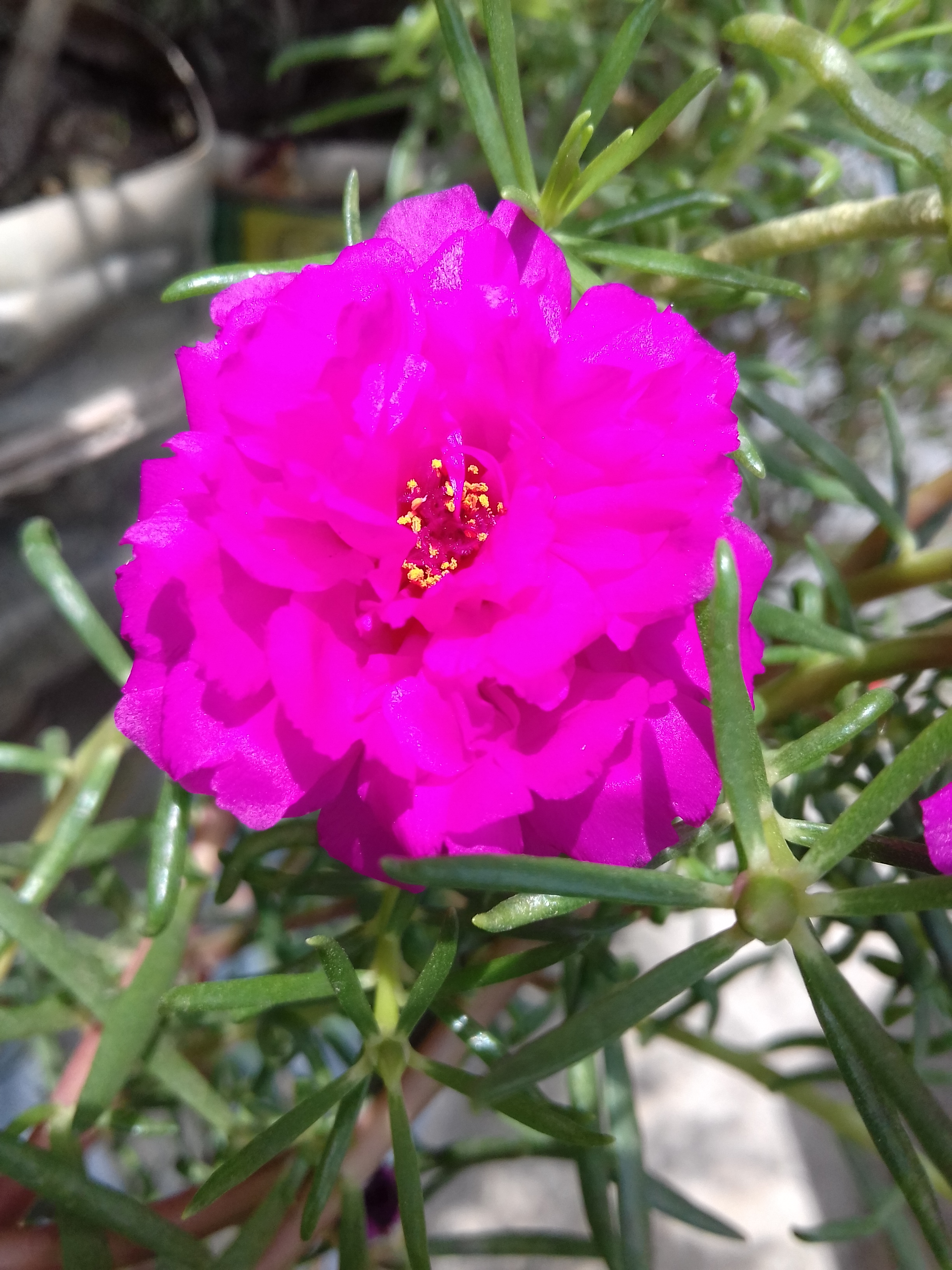 20190510_111356.jpg