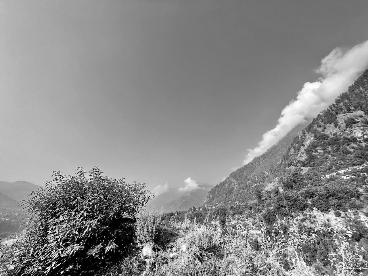 IMG_3437.jpeg