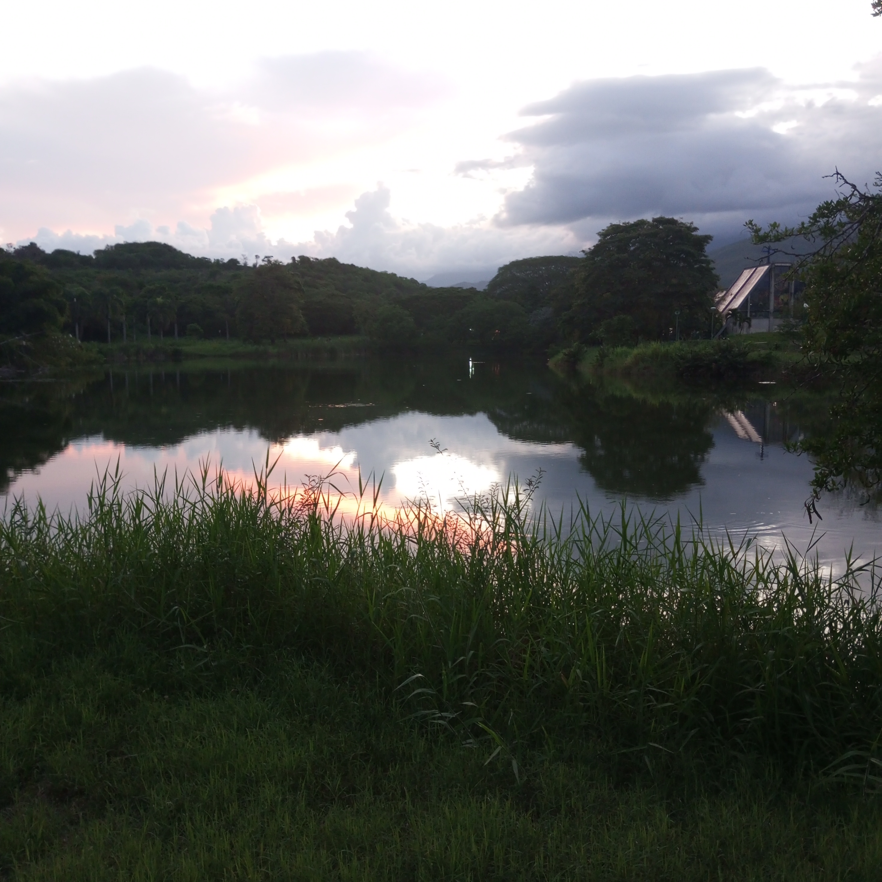 IMG_20240617_185802_359.jpg