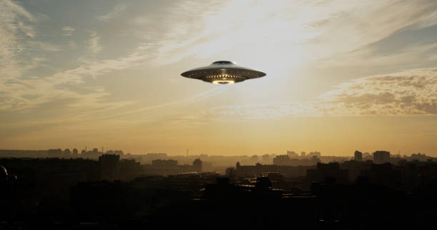 istockphoto-1491159515-612x612.jpg