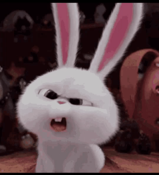 ezgif.com-gif-maker2710.gif