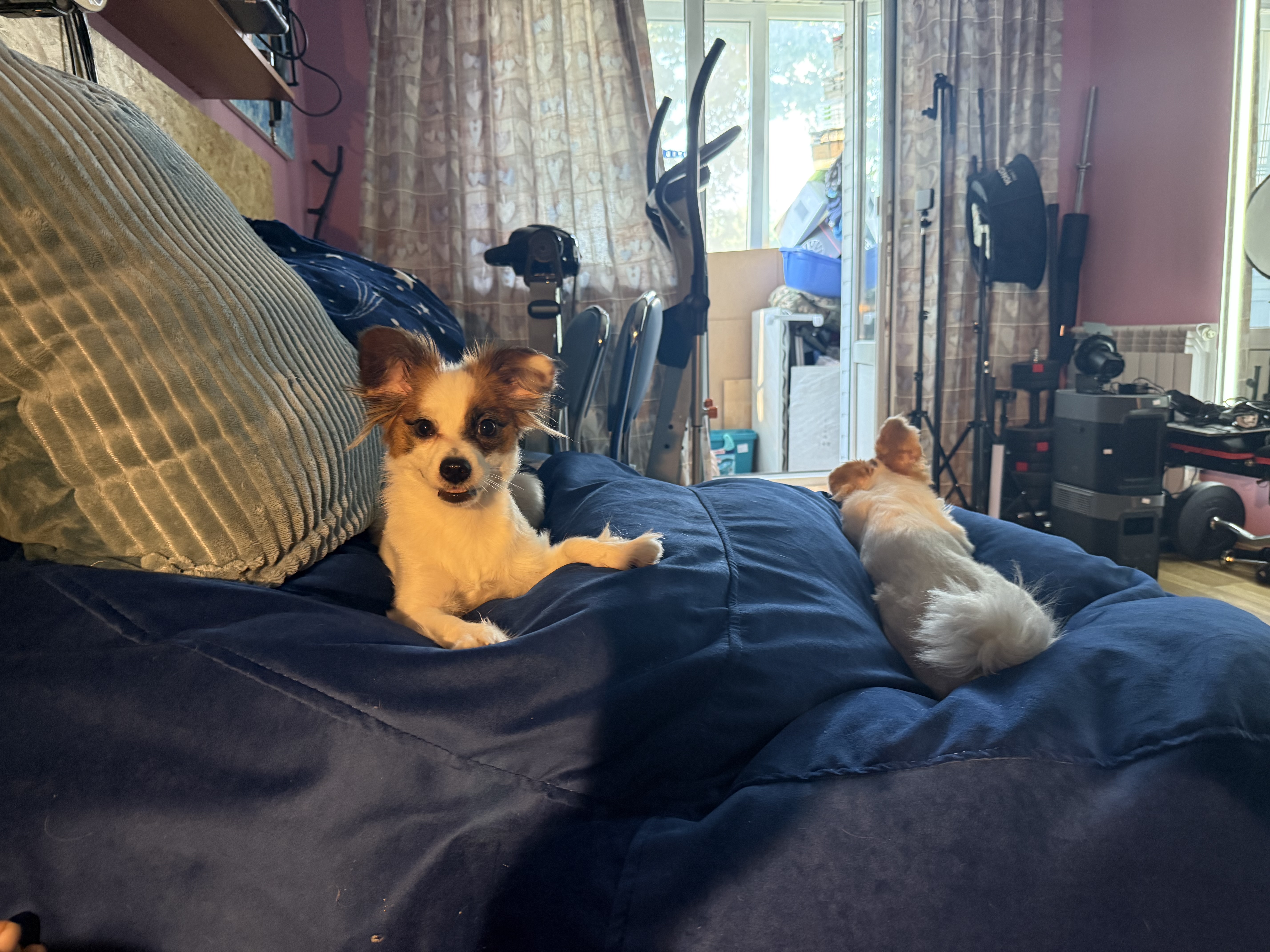IMG_8937.jpeg