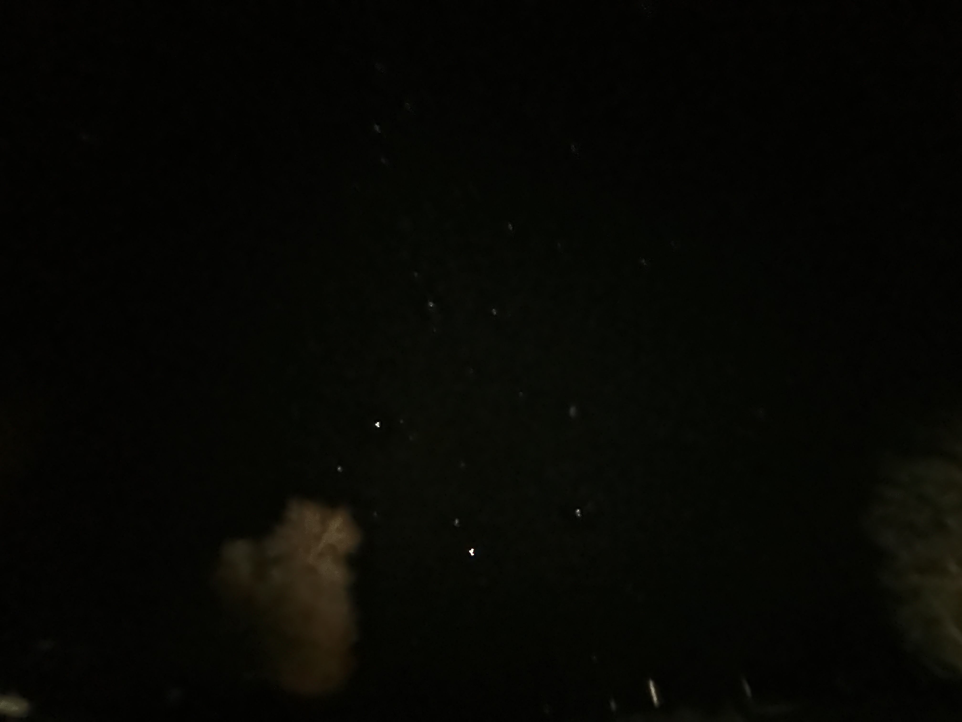 6A358AC9-607D-44D2-82BB-2B14DDA6F396.jpeg