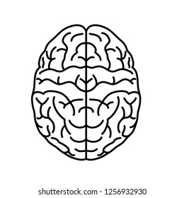 top-view-brain-icon-outline-260nw-1256932930.jpg