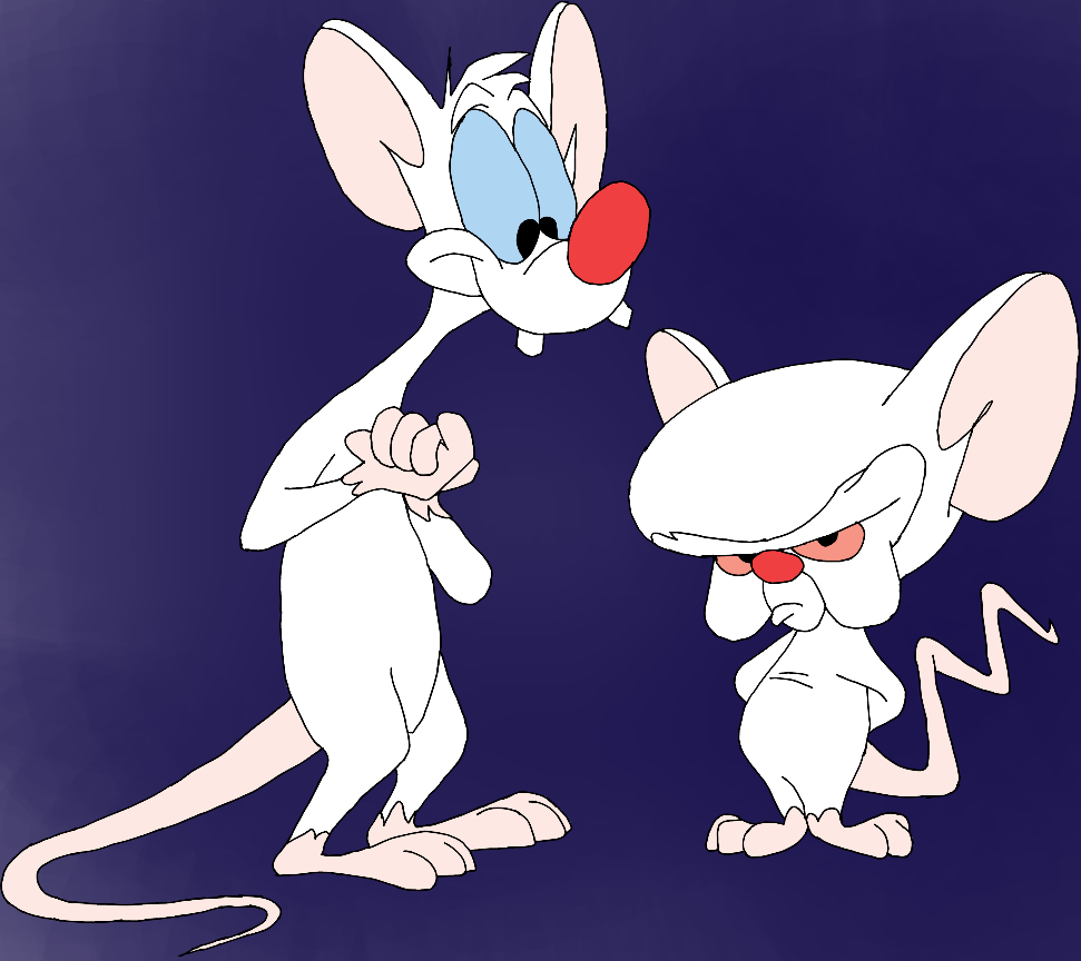 pinky and the brain4.png