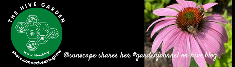 banner-a.png