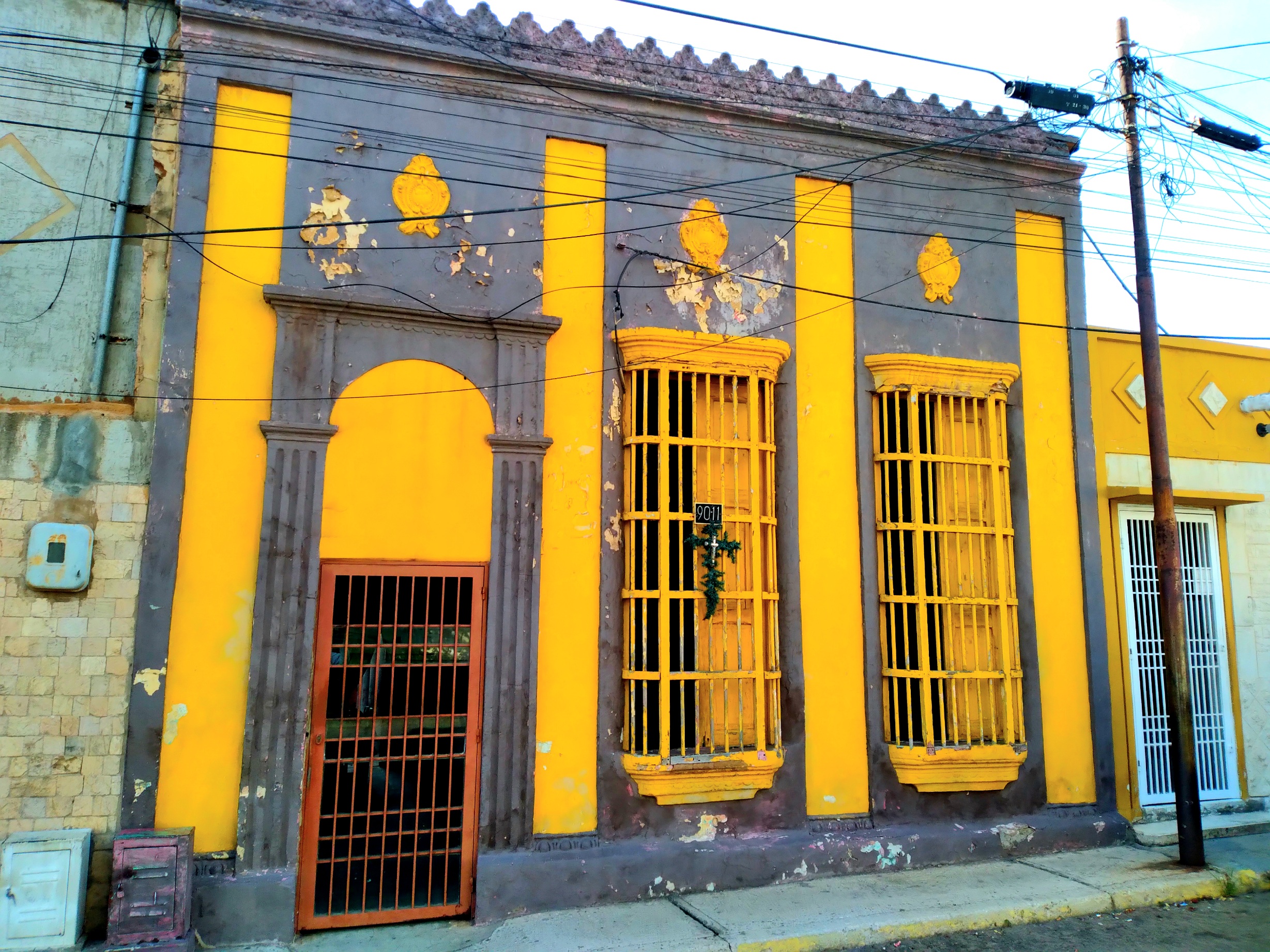 20250604_090658.jpg