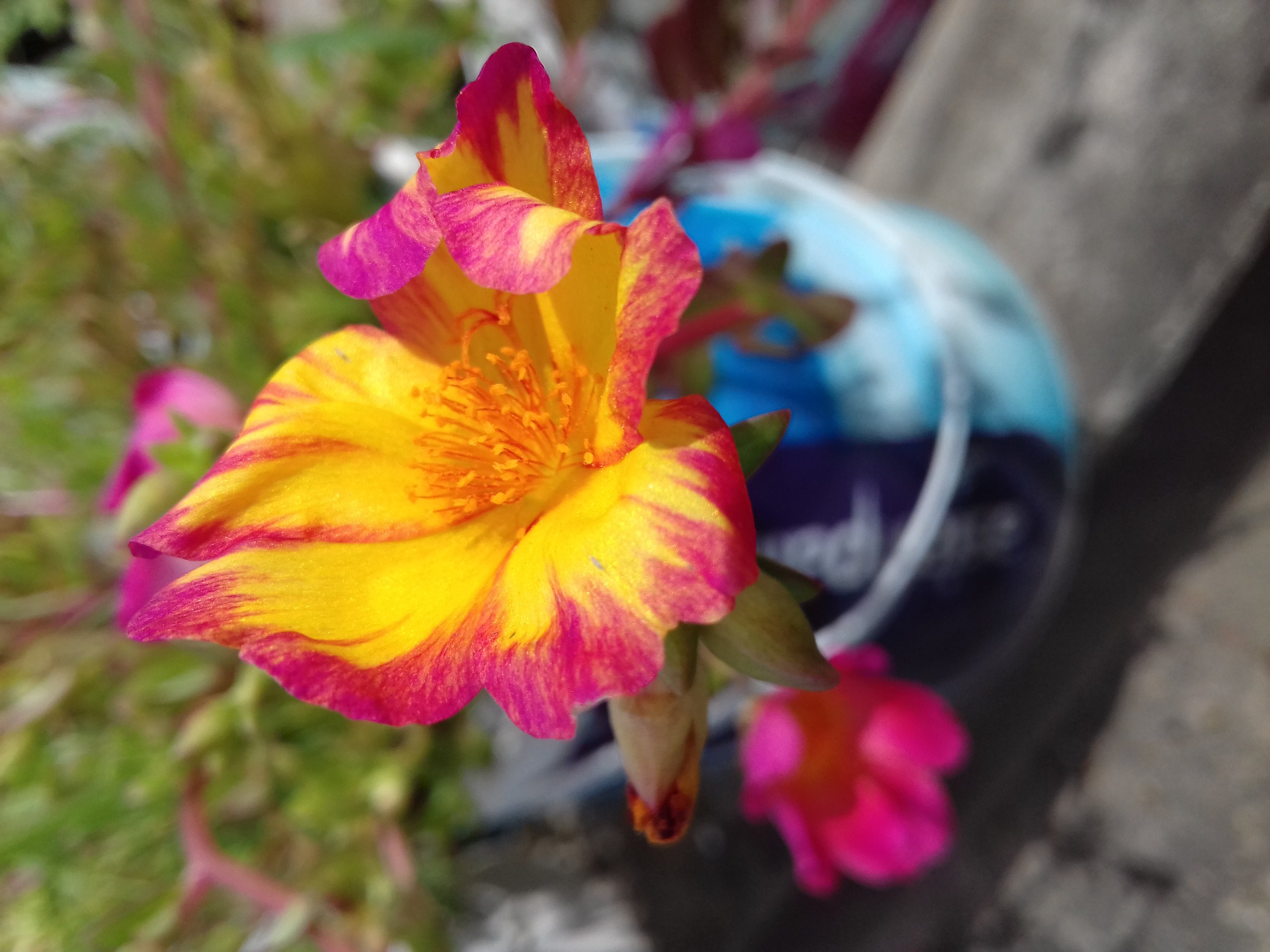 20190705_143652.jpg