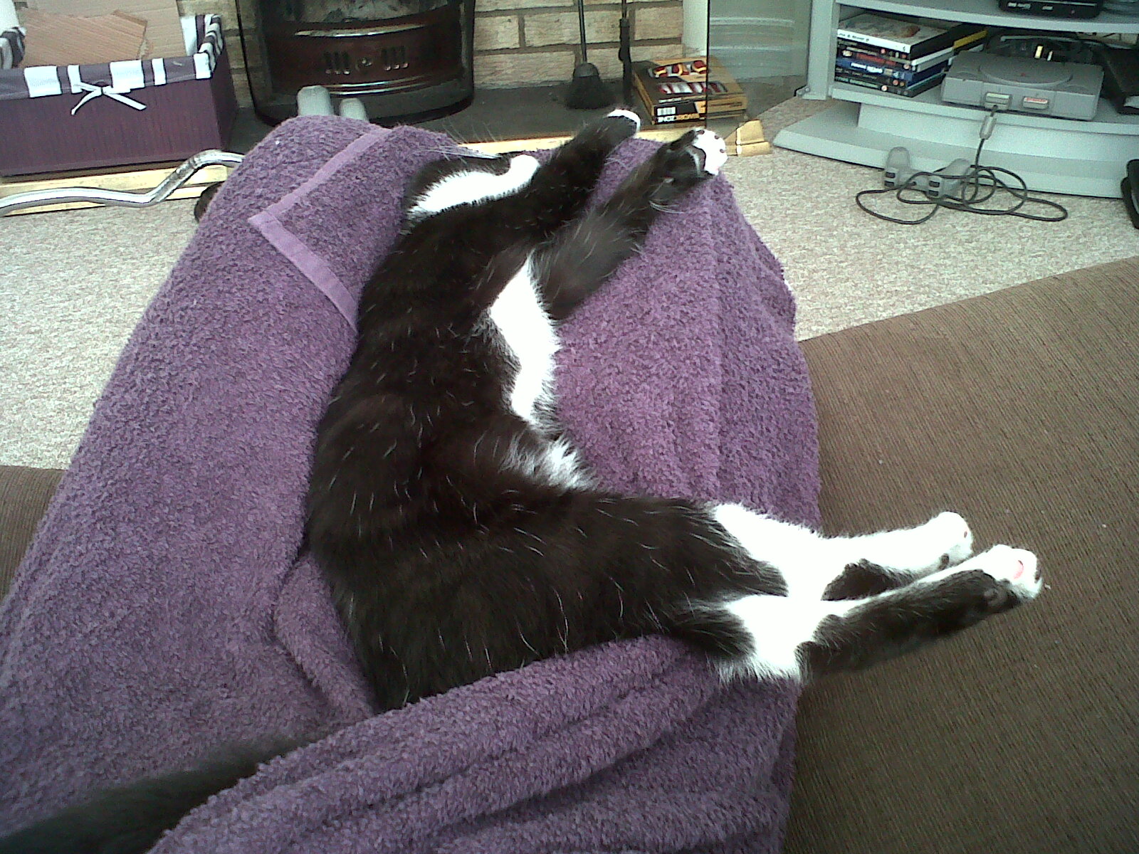 IMG-20120913-00034.jpg