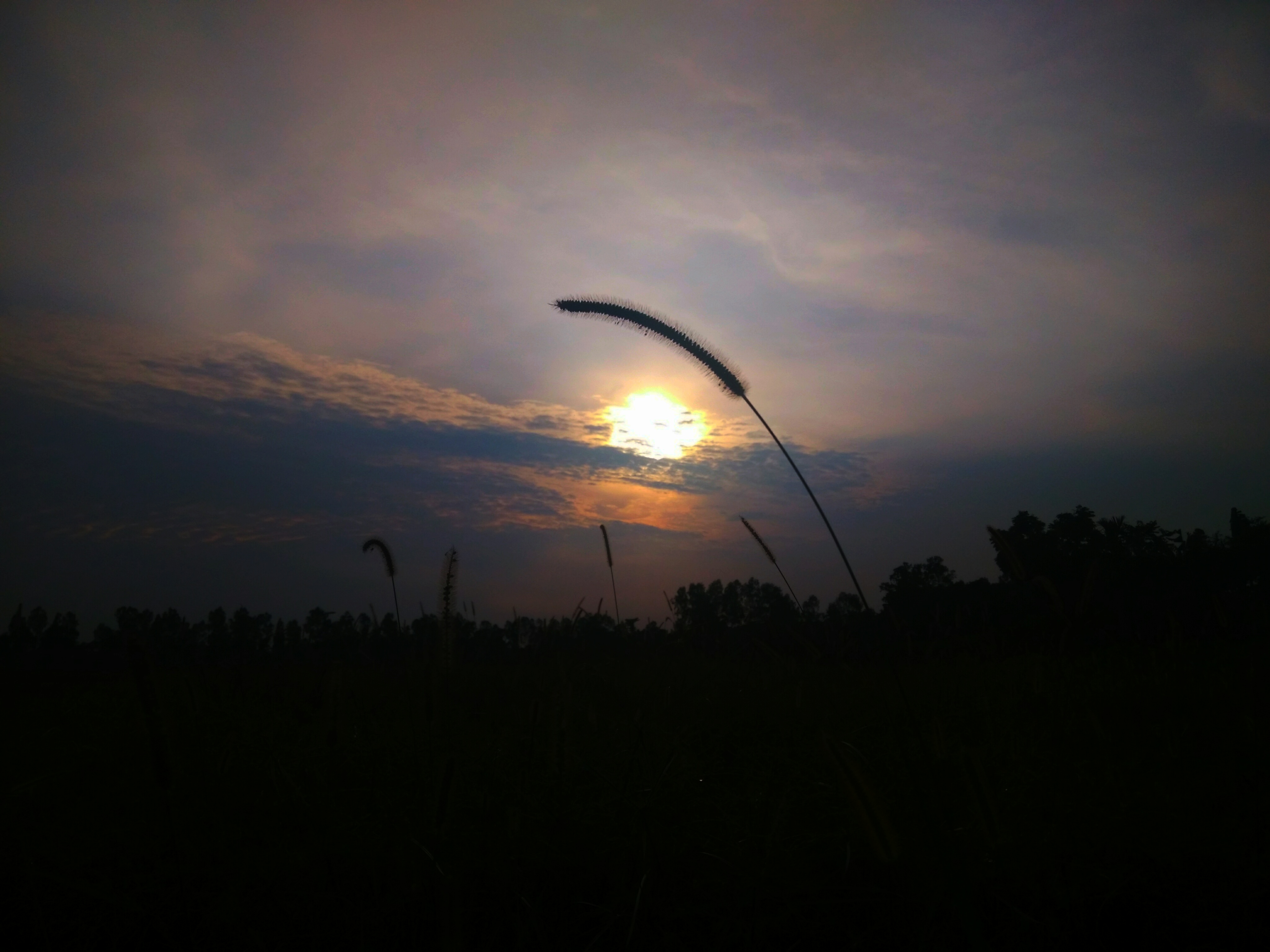 IMG_20200704_105850.jpg