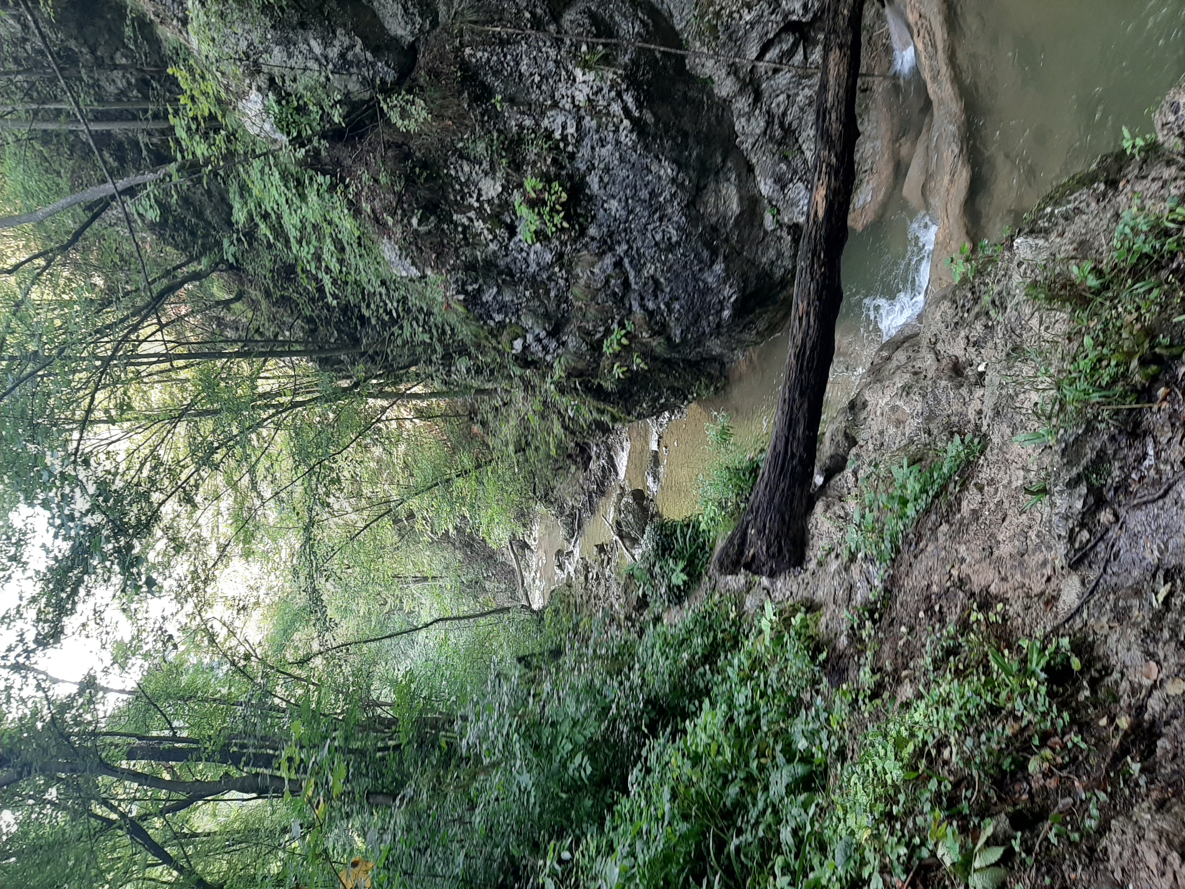 20200816_163730.jpg