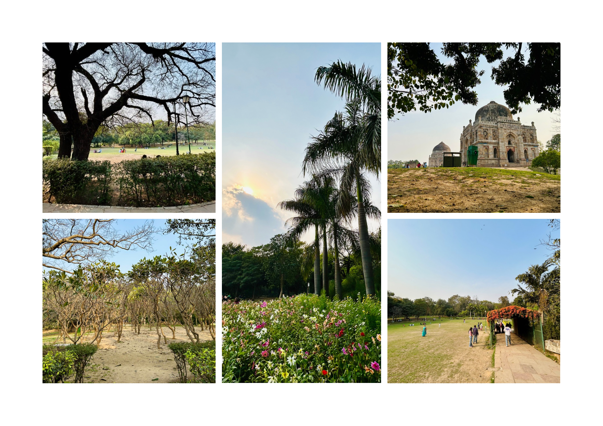 Brown and Beige Simple Interior Photo Collage Landscape A3.png
