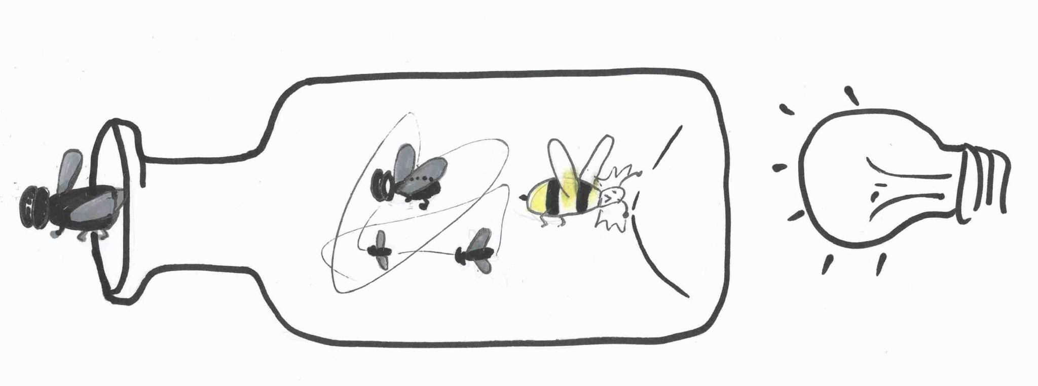 La Mosca y La Abeja