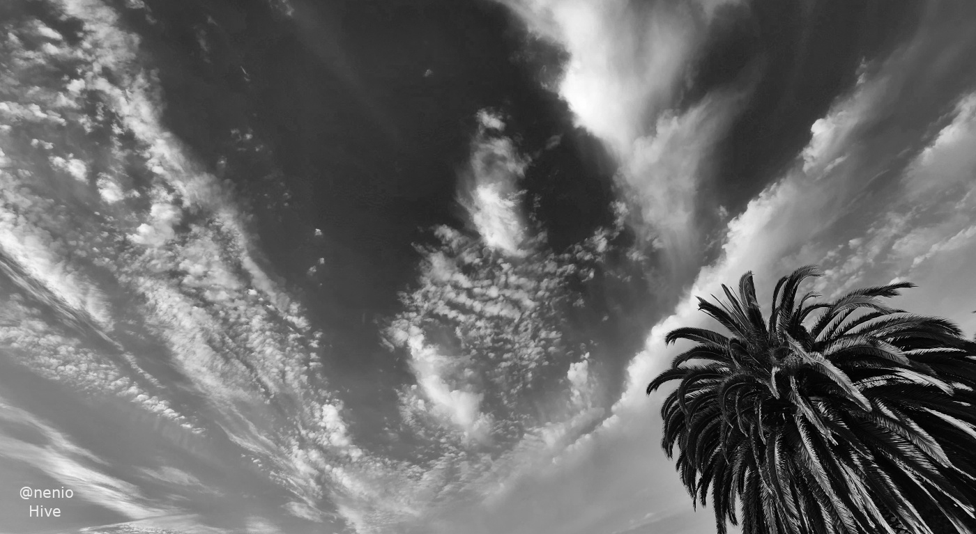 skies-001-bw.jpg