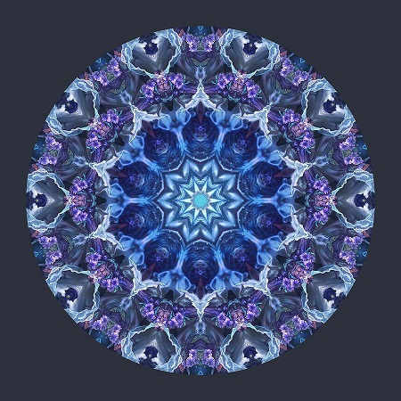 xenubluepurpleiceflowerkaleidoscopemarktripp.jpg