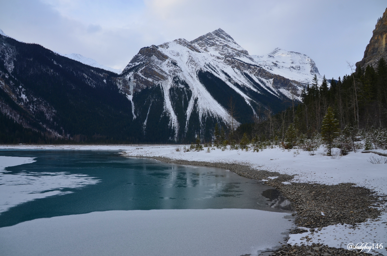 mount robson (18).jpg