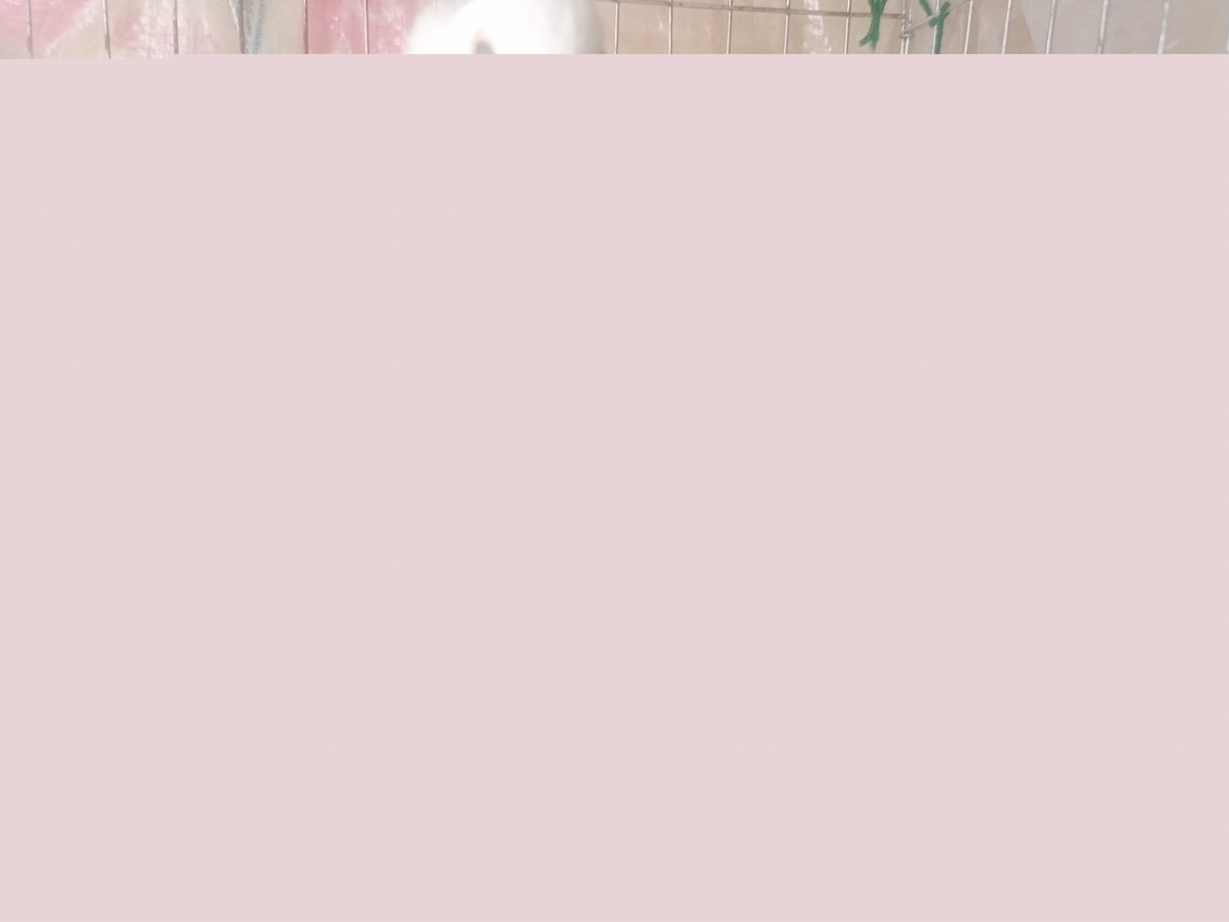 IMG20250401125015.jpg