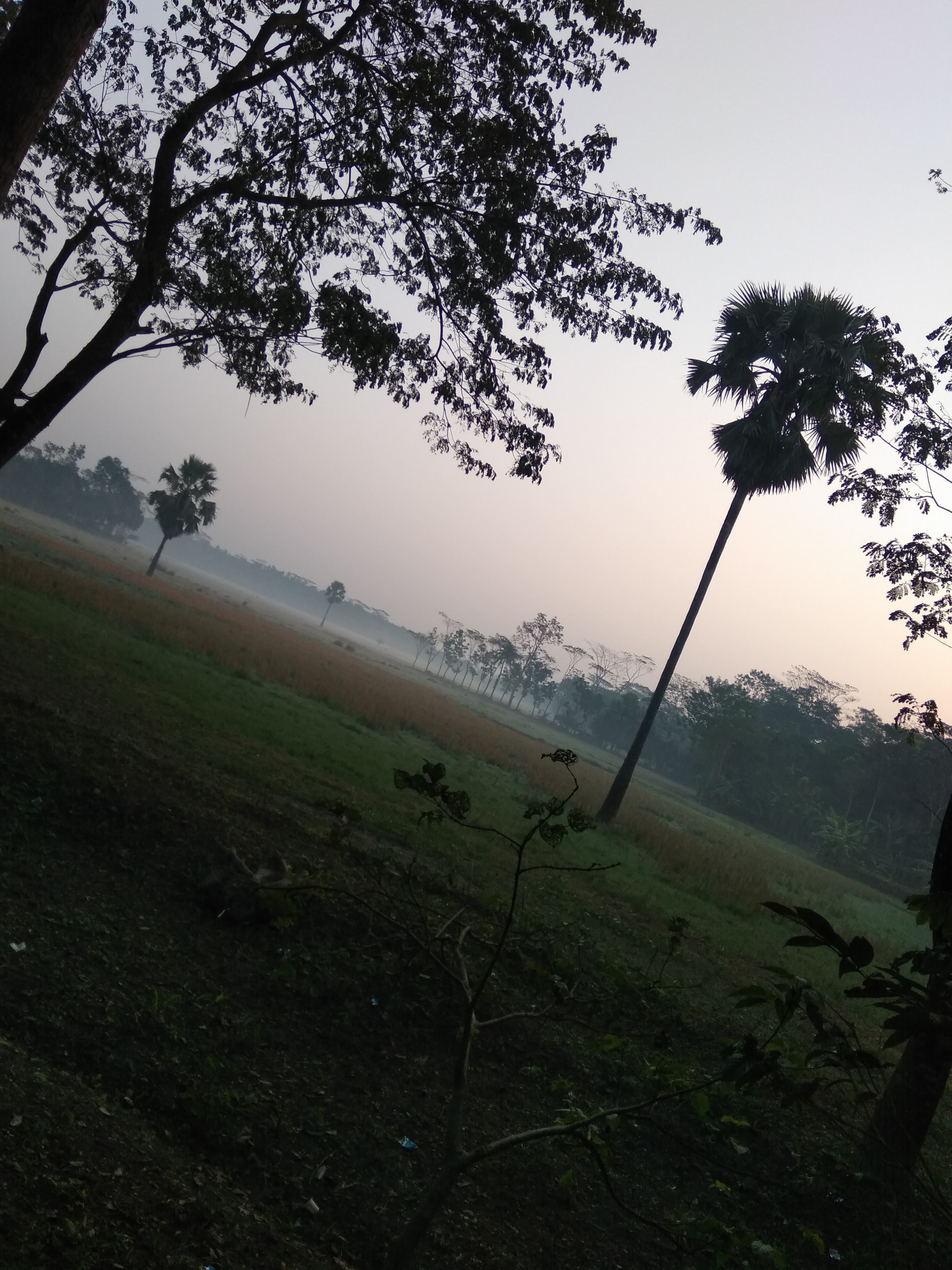 IMG_20181229_065830.jpg