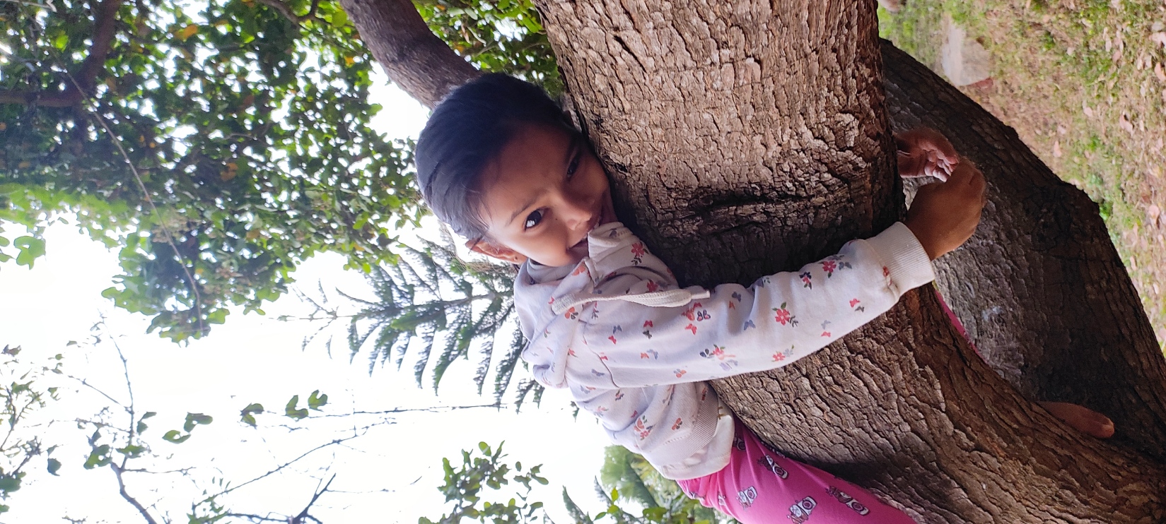 Shreeja Tree Climbing 3.jpg