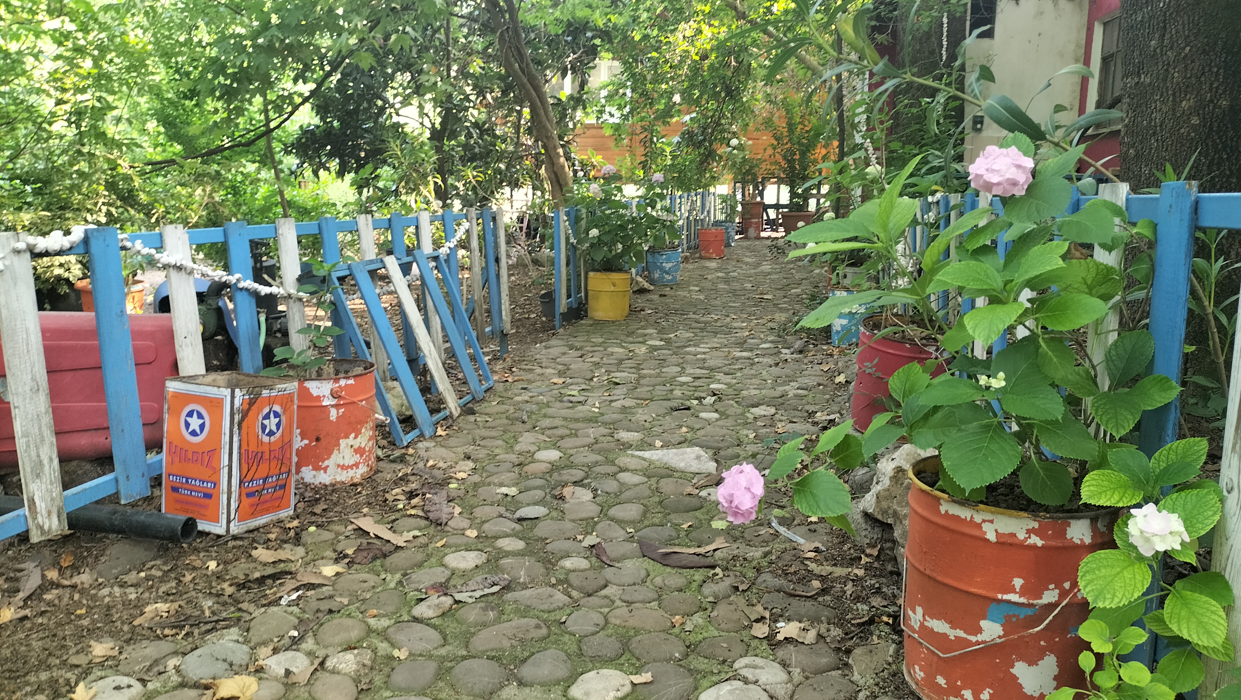 IMG20250614171218.jpg