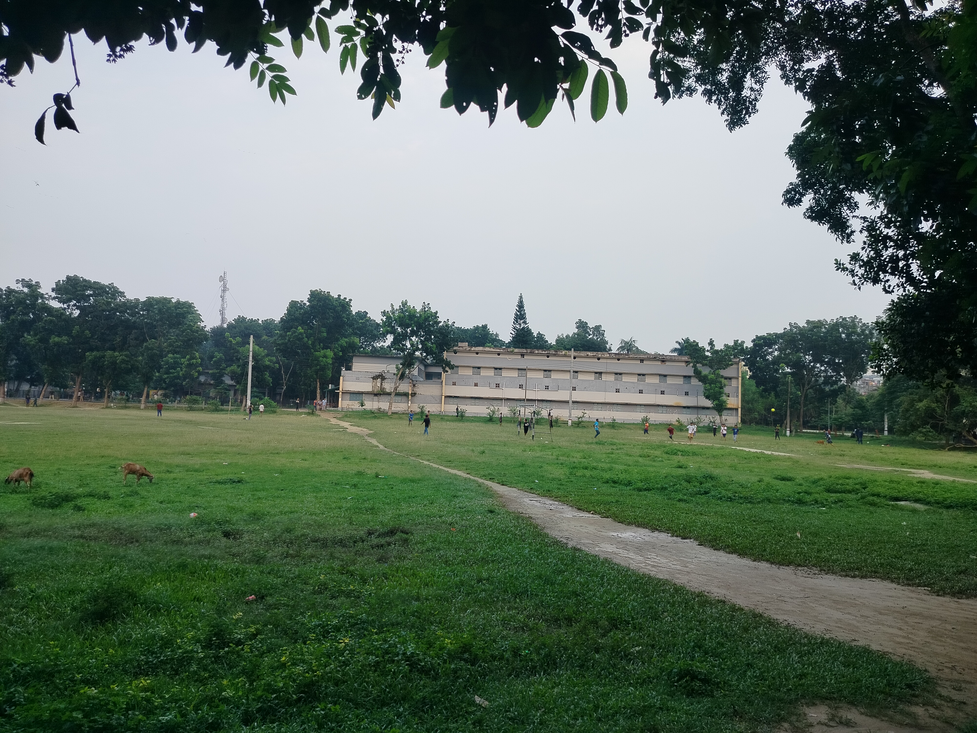 IMG20250809175634.jpg