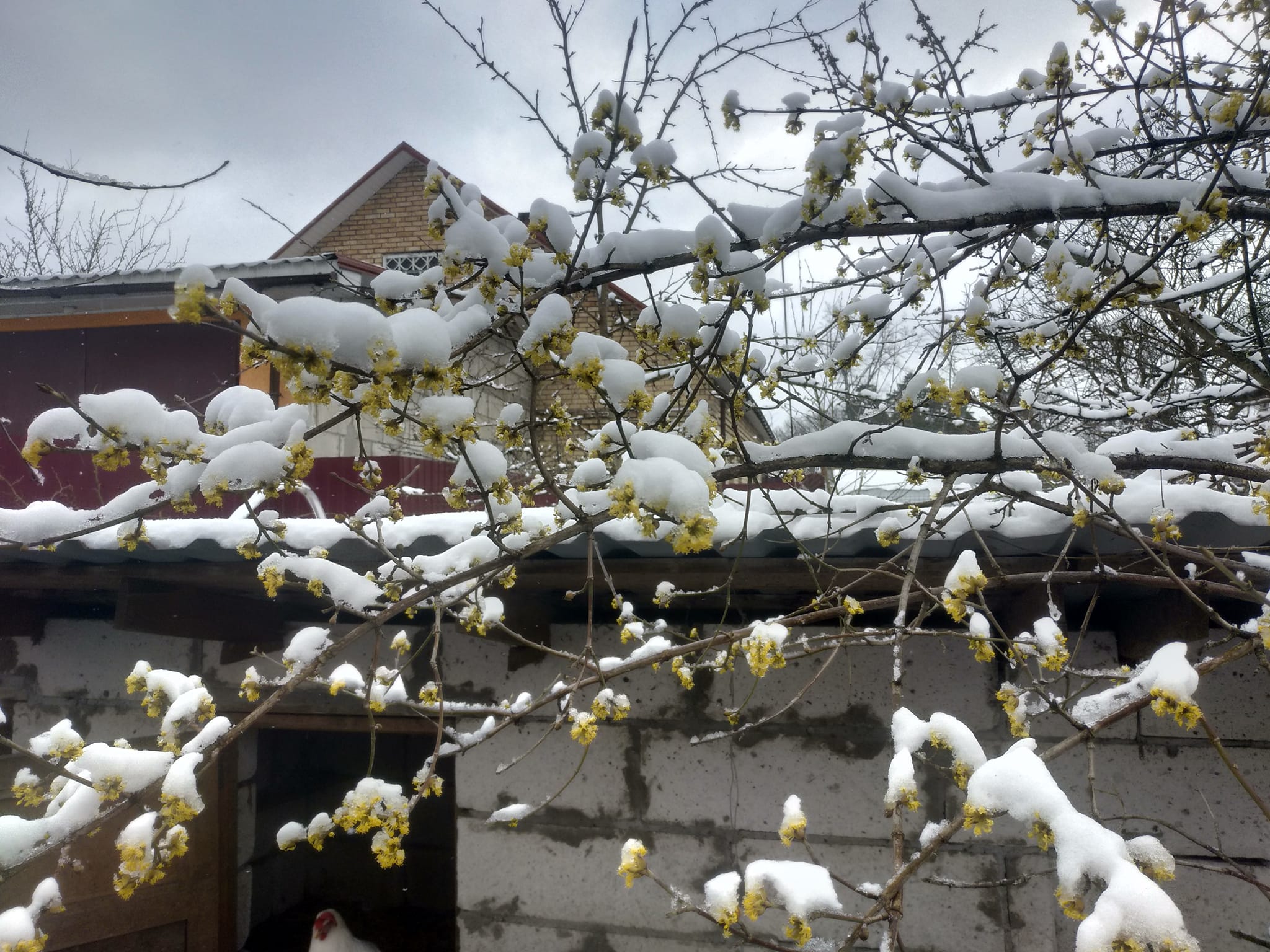 C35AFAF8-D054-43F3-A52B-3080ED2B65B3.jpeg