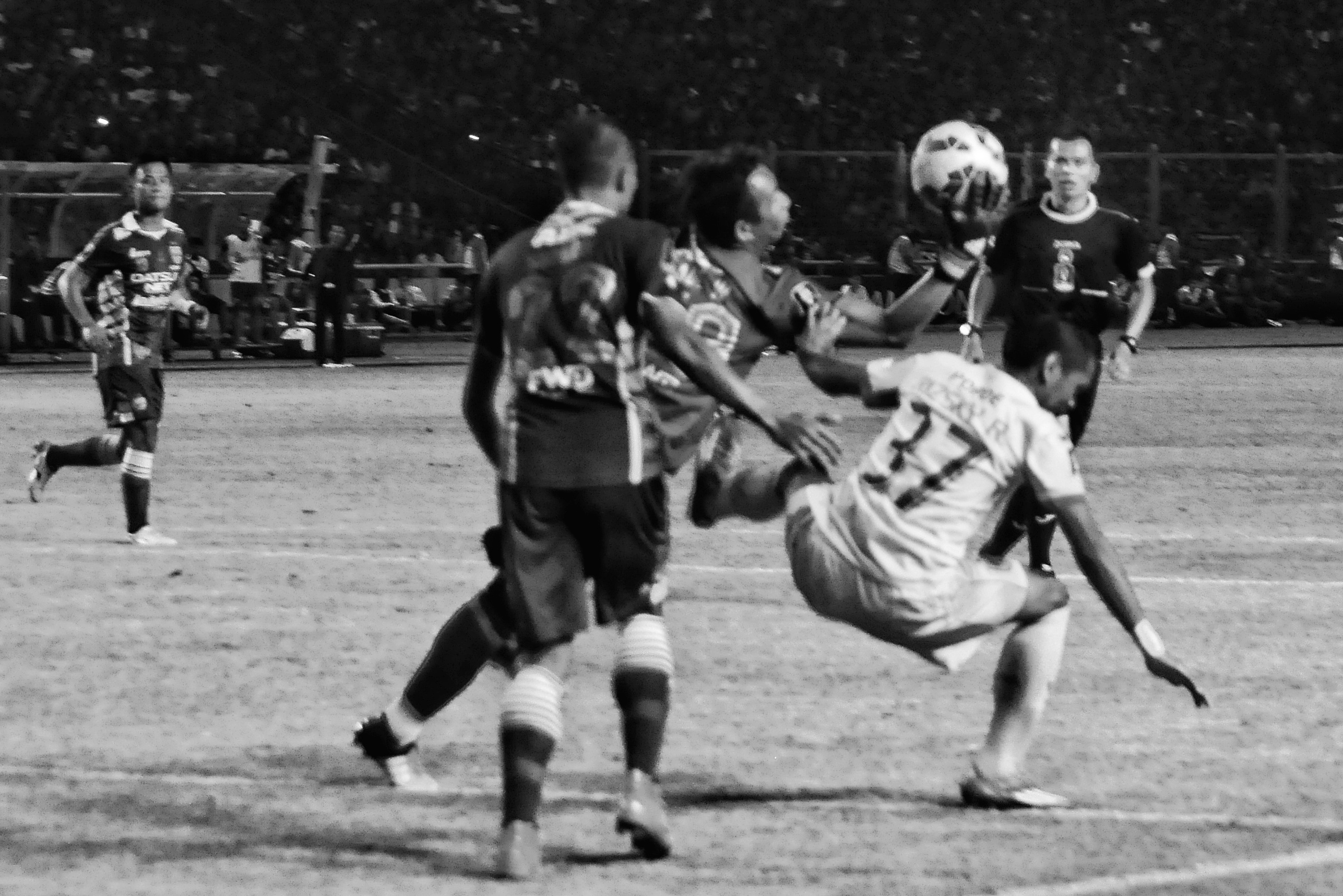 DSC_0179-01.jpeg