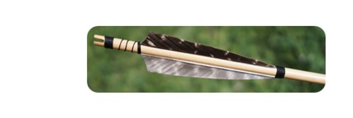 https://images.hive.blog/DQmPYMP1njinmTtTfKwJyi7MHniBvKwekya1hinw15PuiHw/arrow.1.jpg
