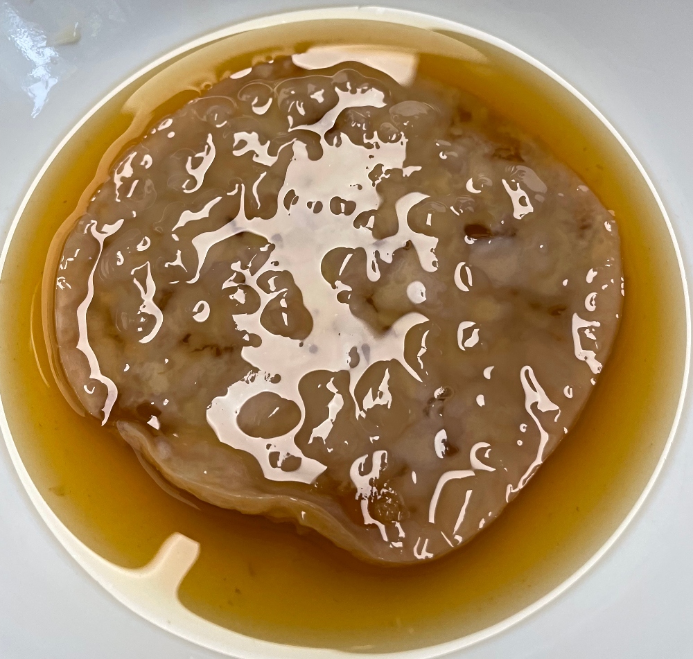 kombucha-tea-ferment-7 (1).jpg