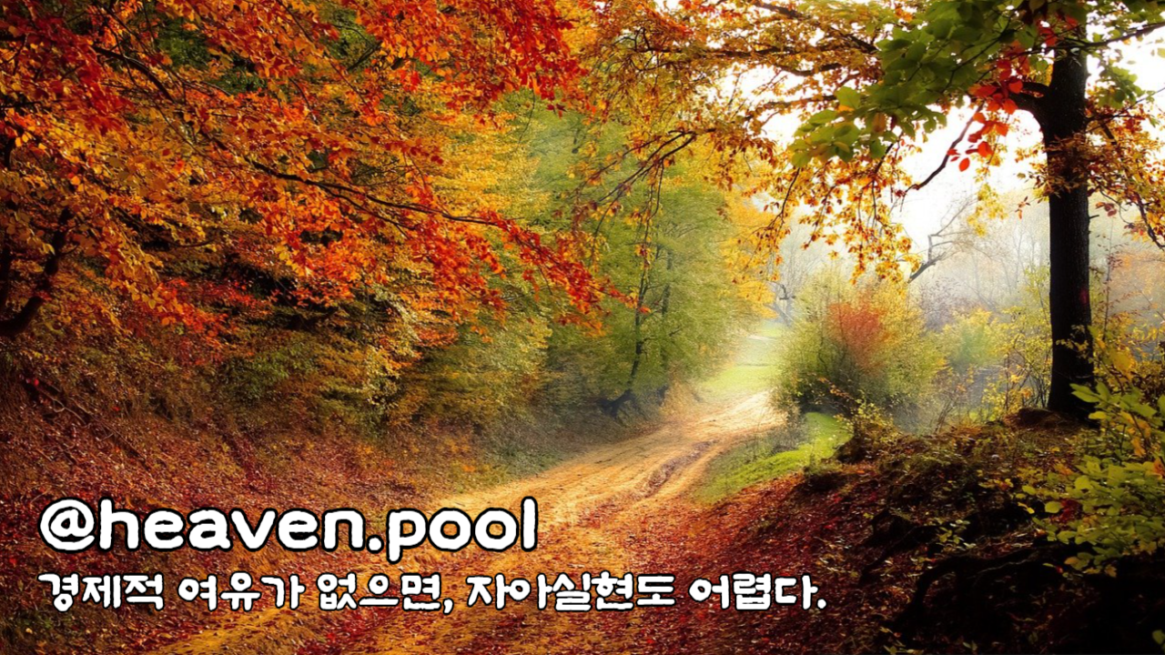 @heaven.pool_경제력.png