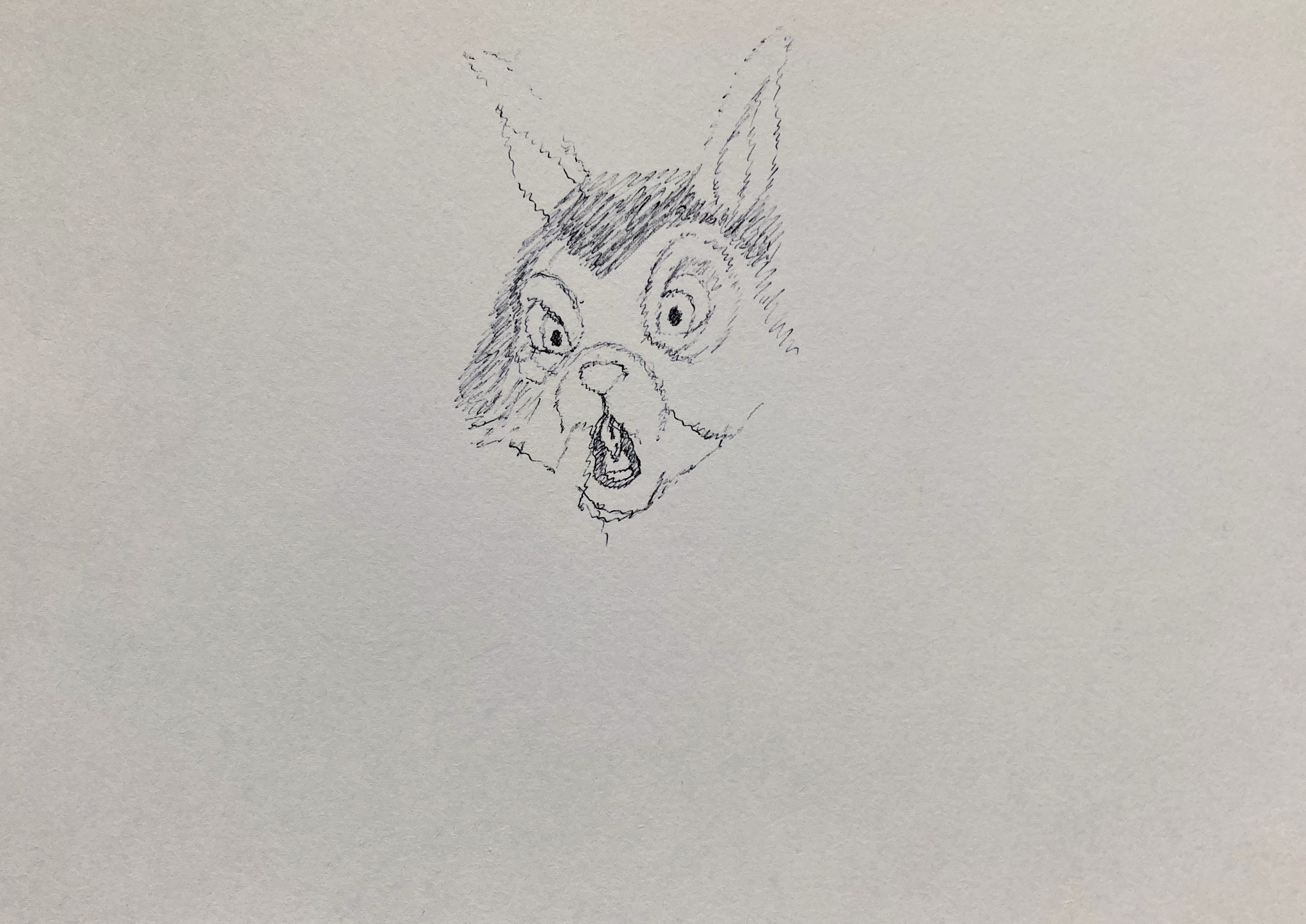 IMG_4730.jpeg