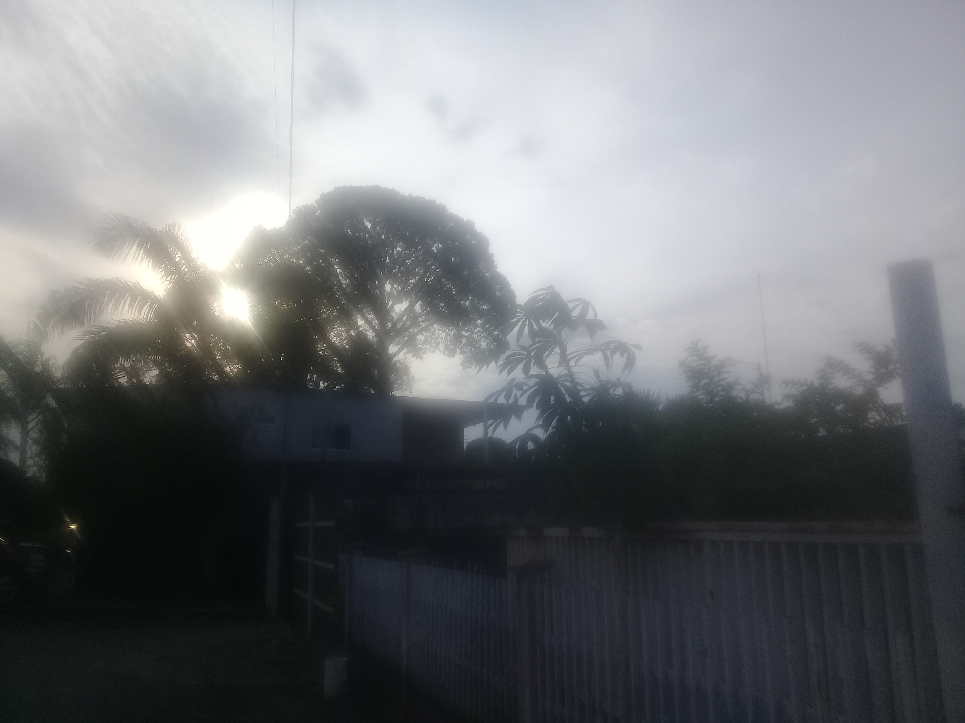 20221012_173213.jpg