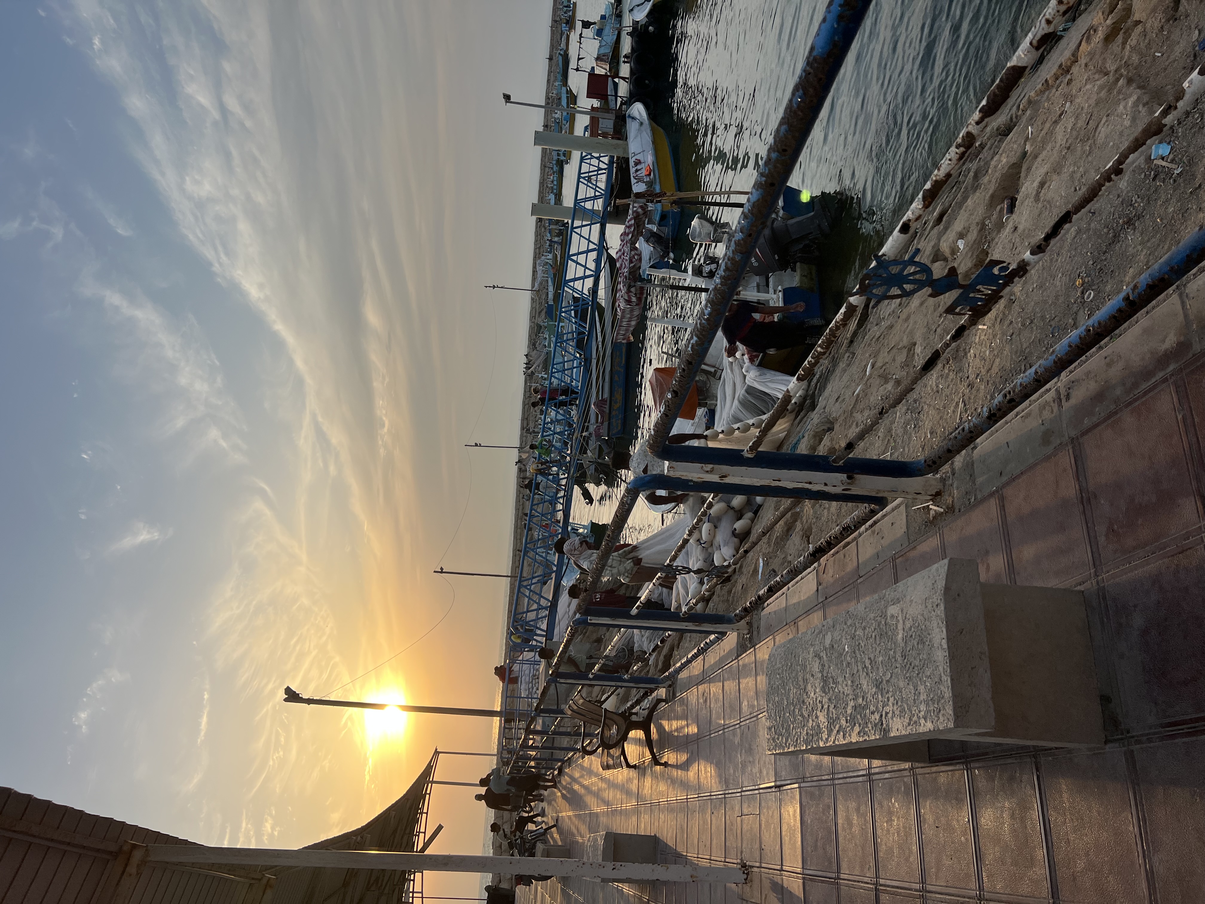 IMG_9257.jpeg
