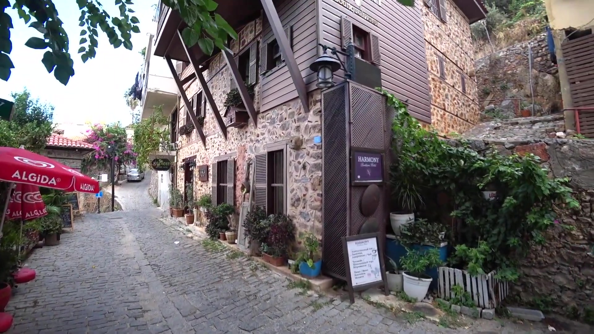 235.jpg