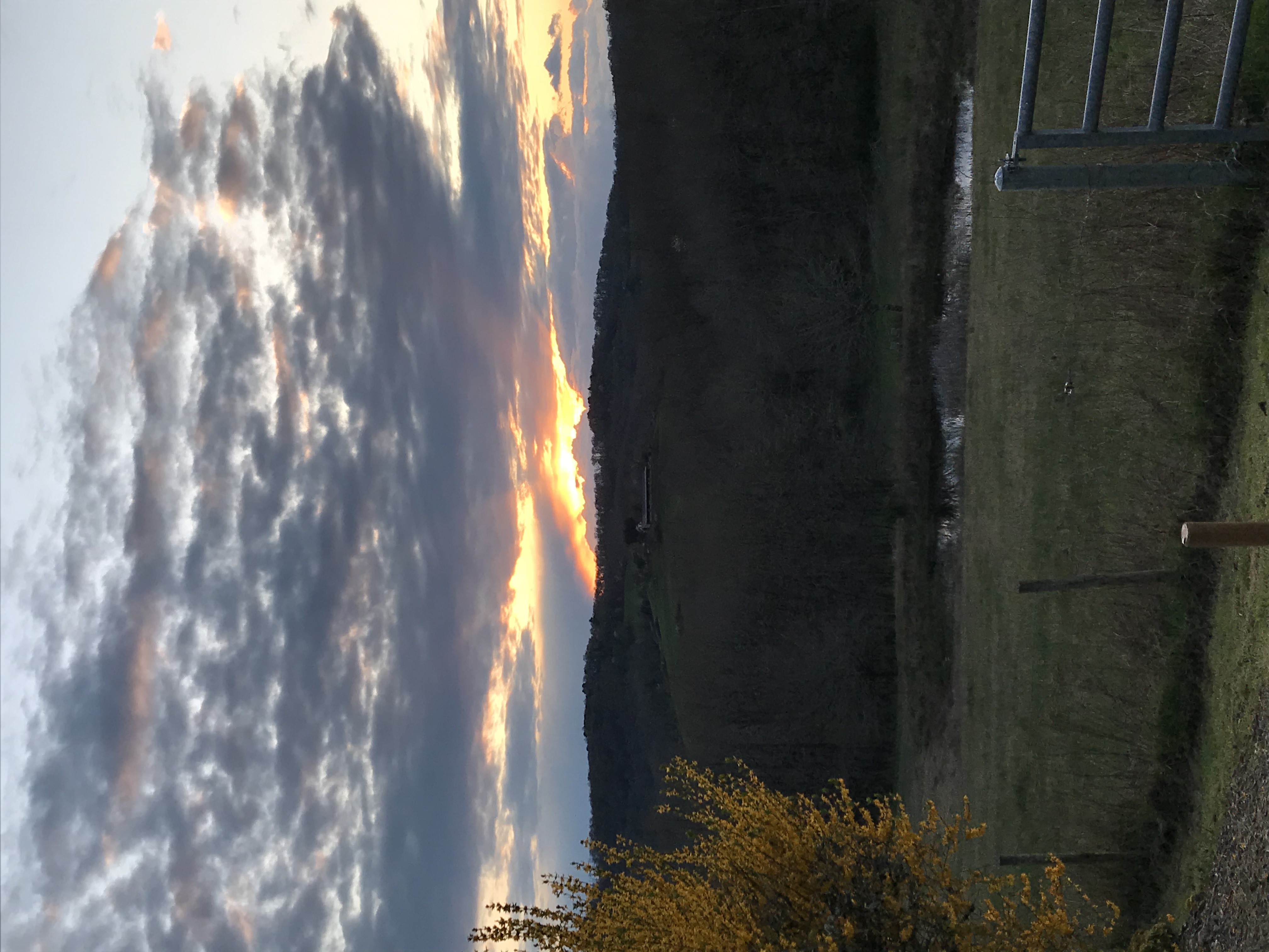IMG_6143.jpeg