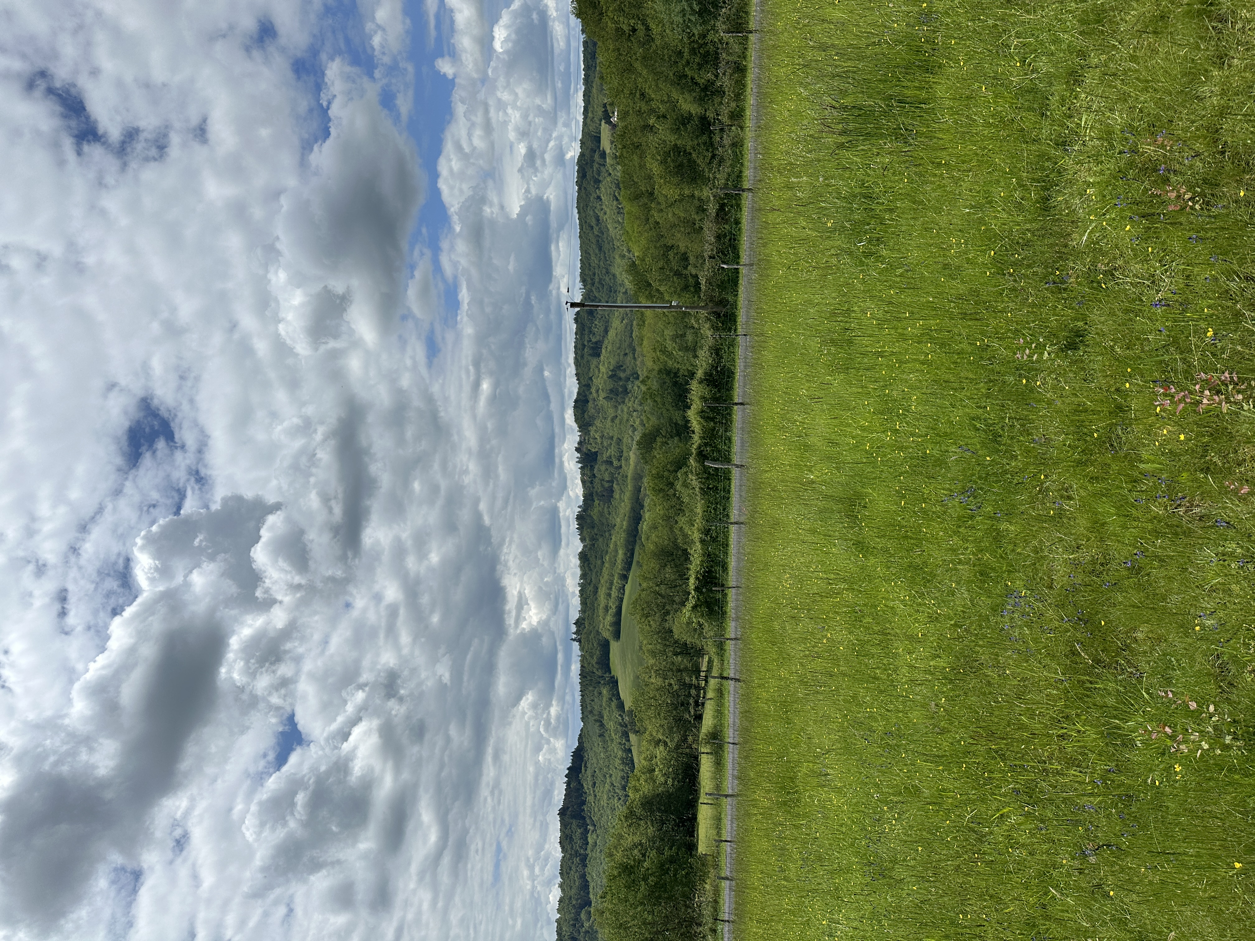 IMG_2722.jpeg
