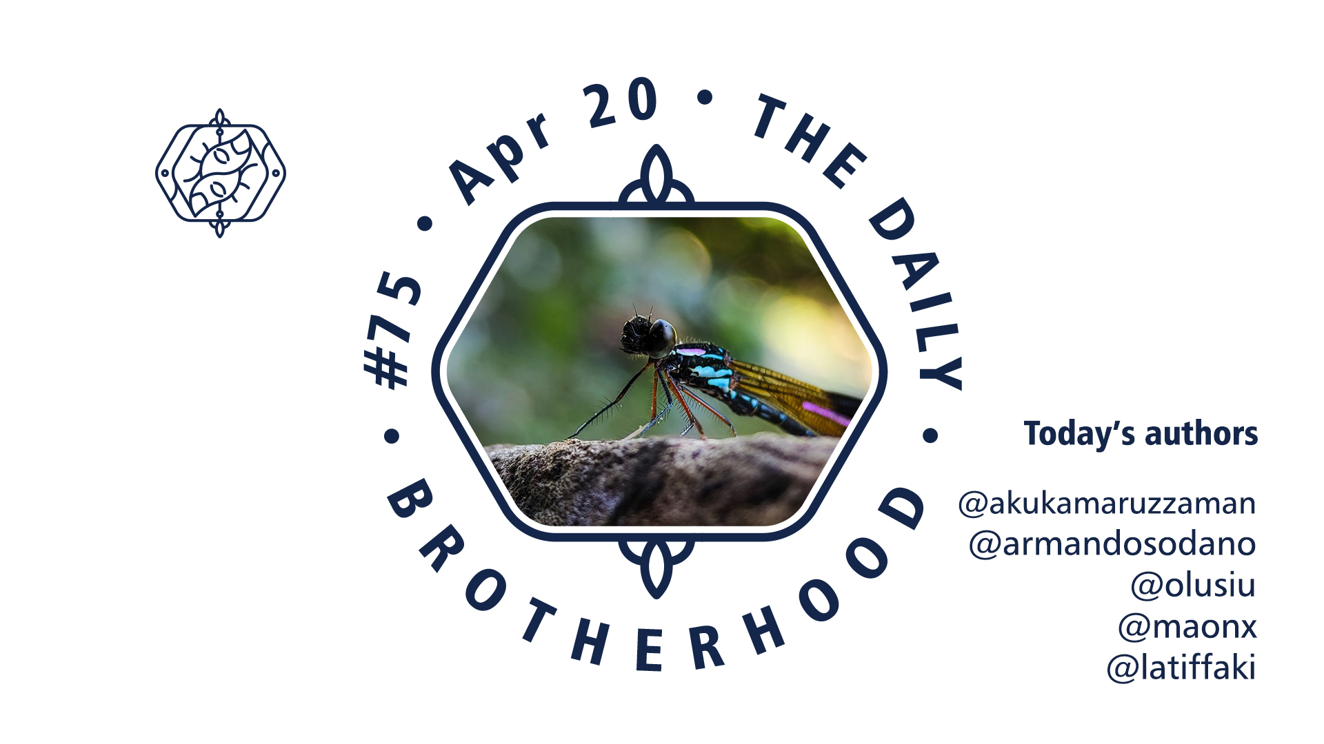 logo_brotherhood_08_75.jpg