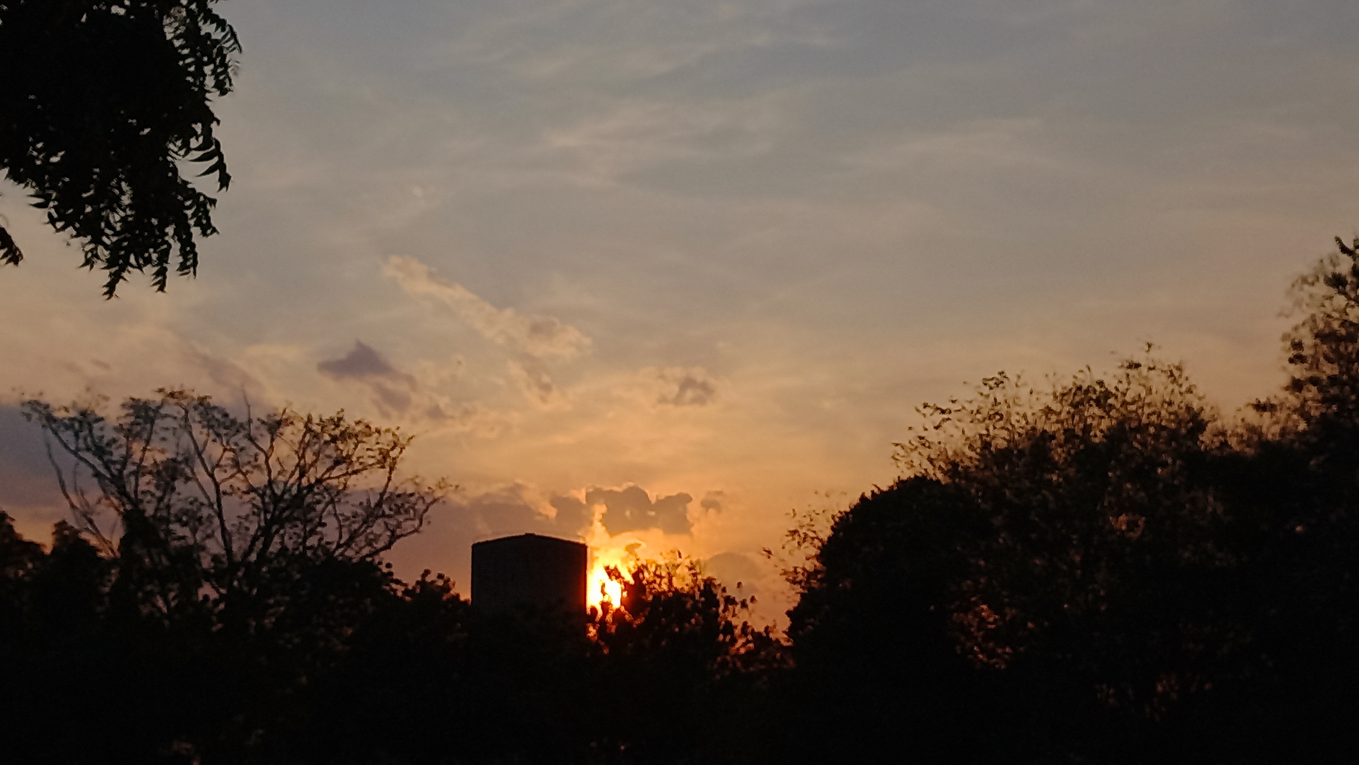 20250414_180013.jpg