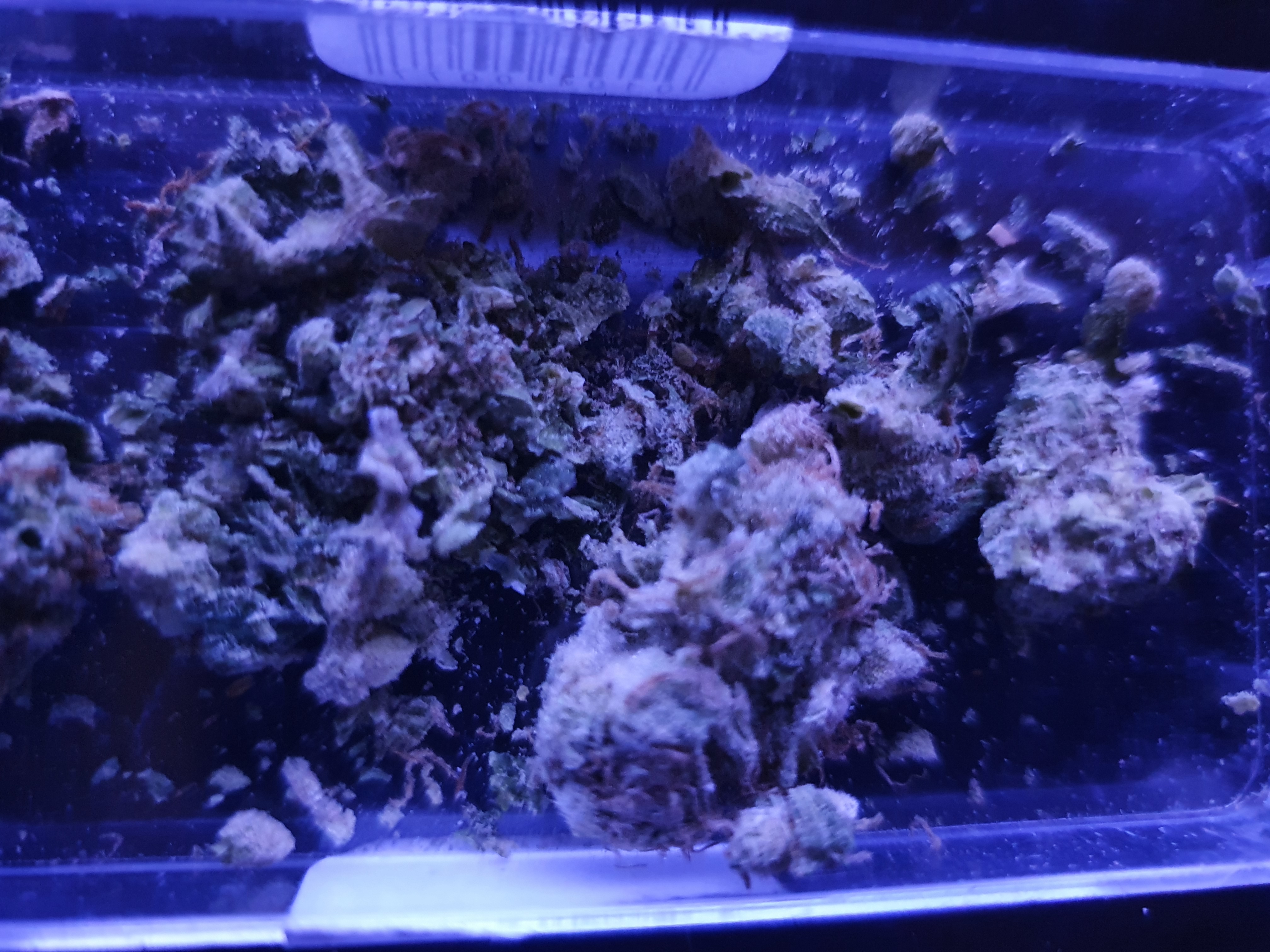 20220213_233241.jpg
