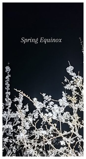 equinox -640- by Priscilla Hernandez.jpg