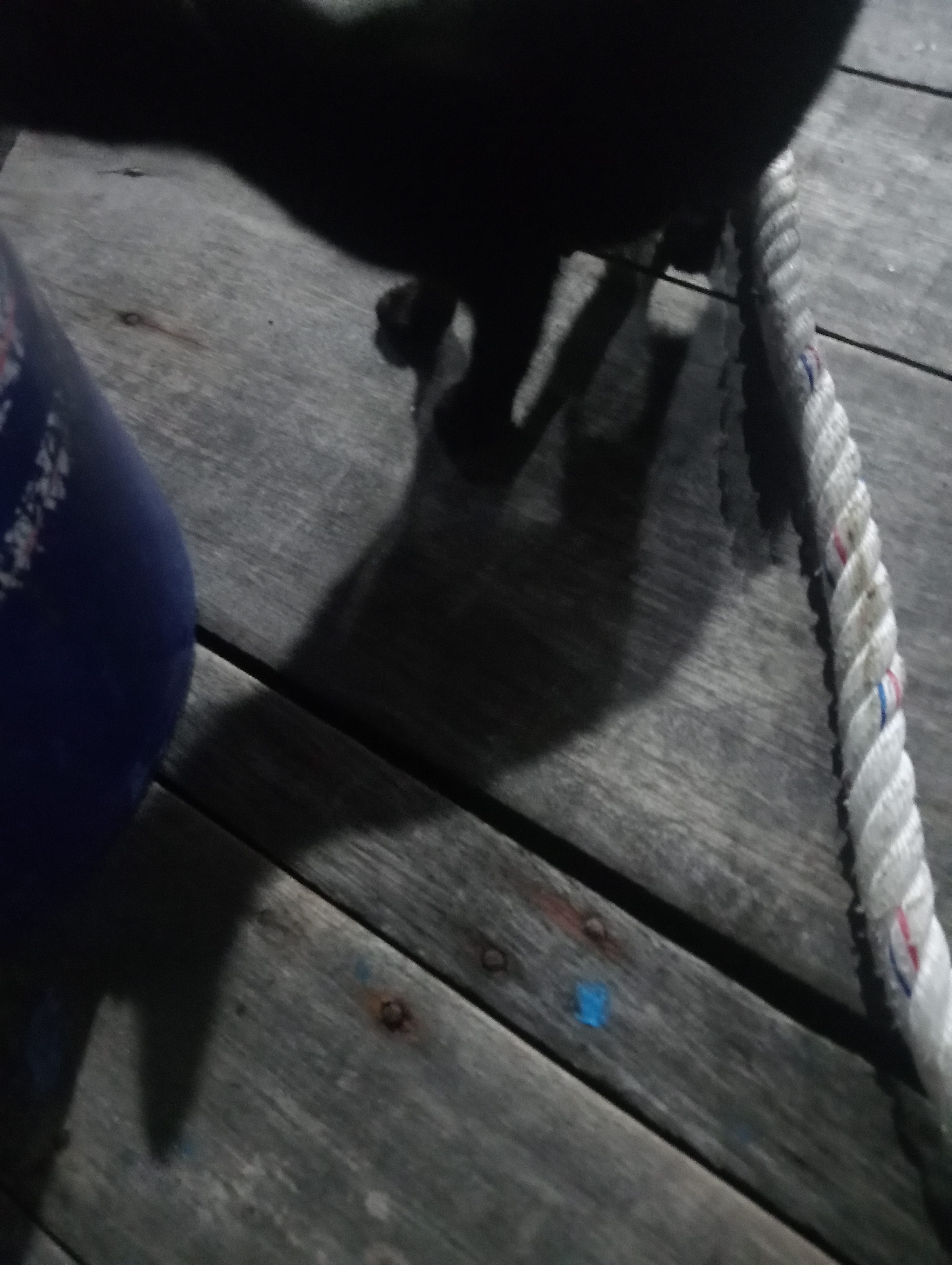 IMG20250720210859.jpg