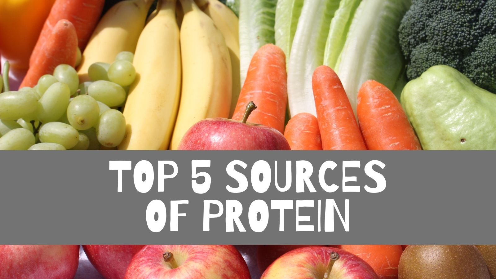 top 5 sources of protein.jpg