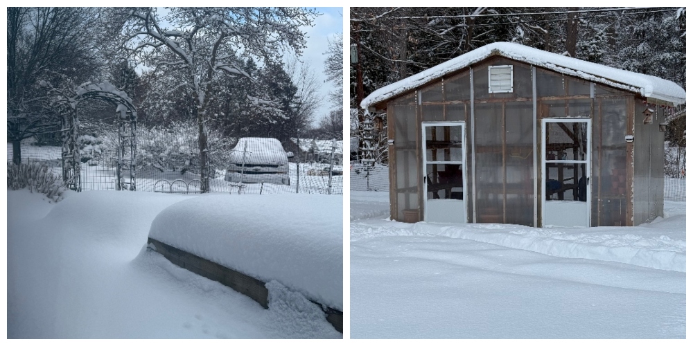 hivegarden-snow-garden-1.jpg
