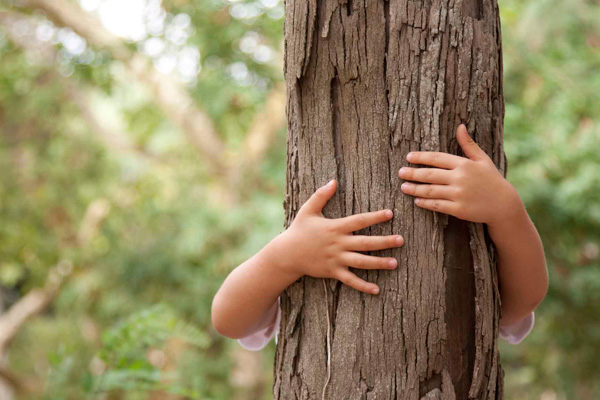 abraza-un-arbol.jpg