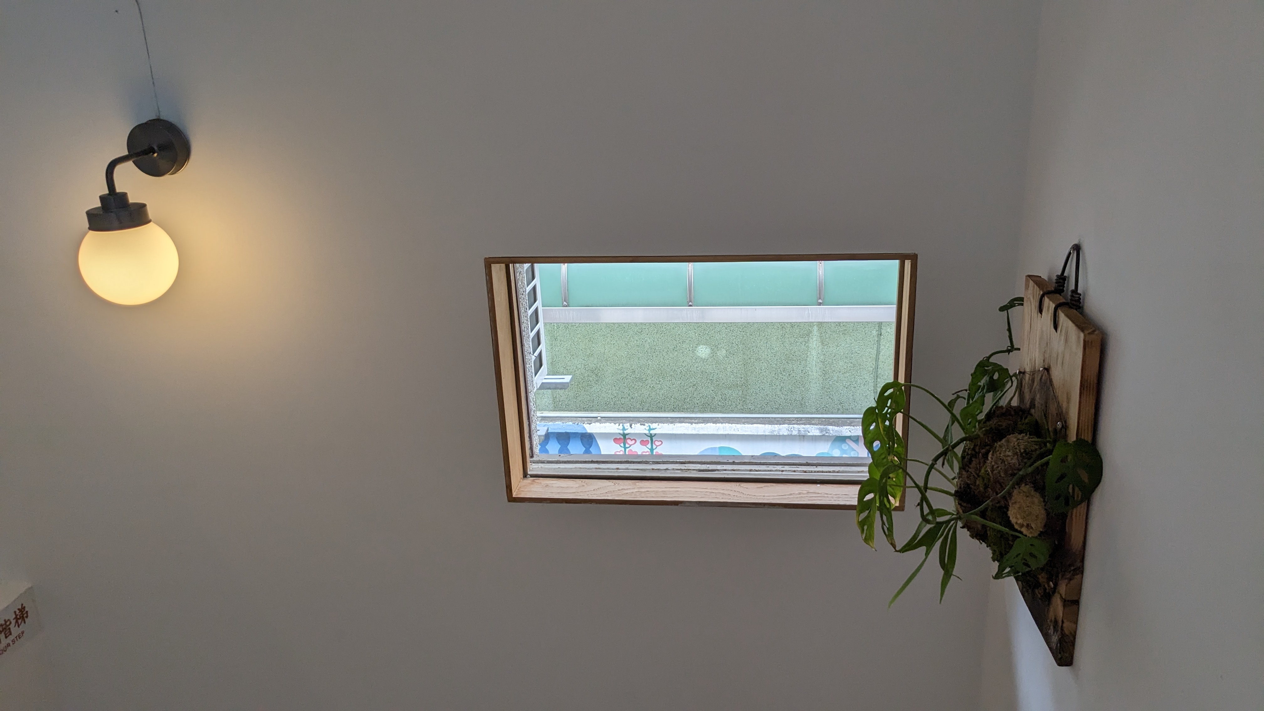 PXL_20230225_032129198.jpg